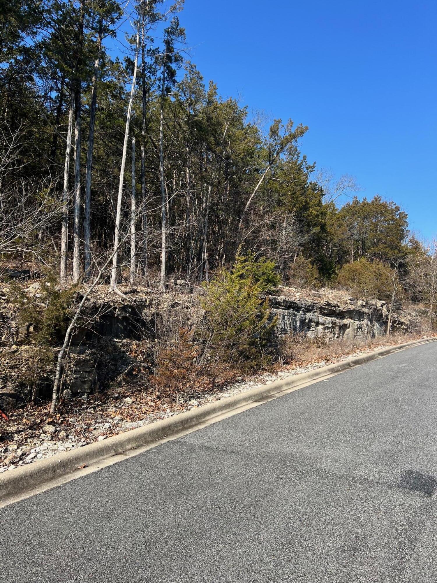 Photo 5 - Land for sale – Tbd E Sharay Circle  Hollister, MO