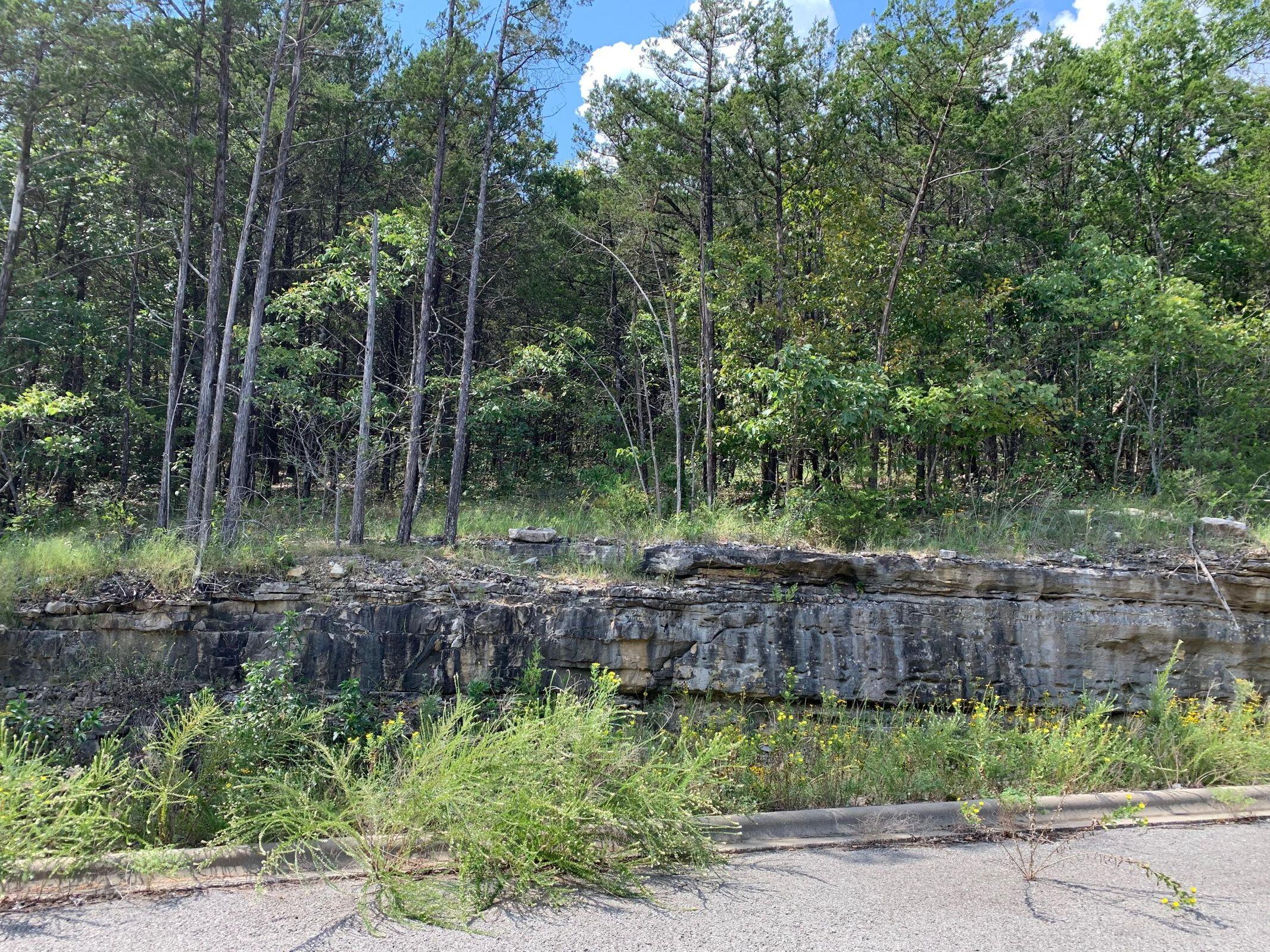 Land for sale – Tbd E Sharay Circle  Hollister, MO