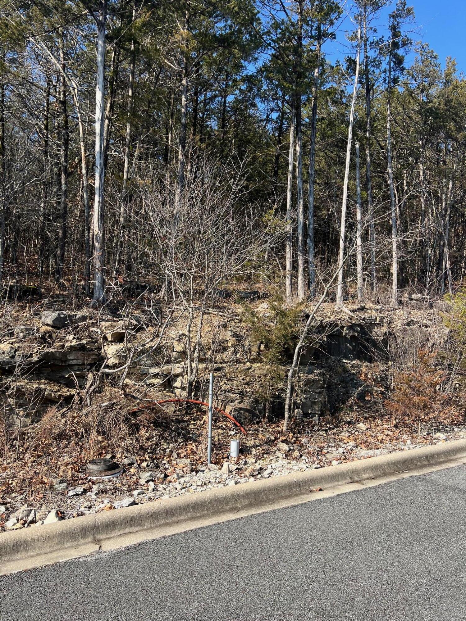 Photo 3 - Land for sale – Tbd E Sharay Circle  Hollister, MO