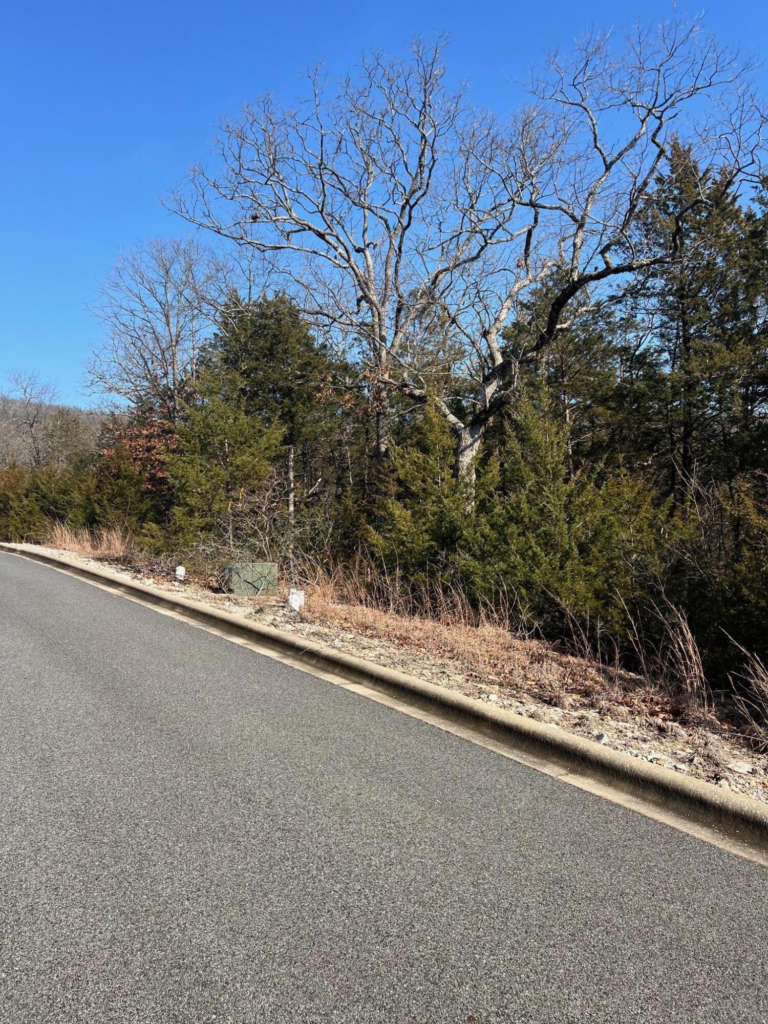 Photo 7 - Land for sale – Tbd E Sharay Circle  Hollister, MO