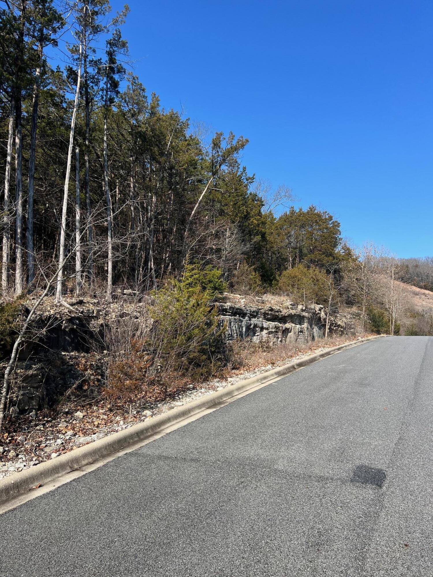 Photo 4 - Land for sale – Tbd E Sharay Circle  Hollister, MO