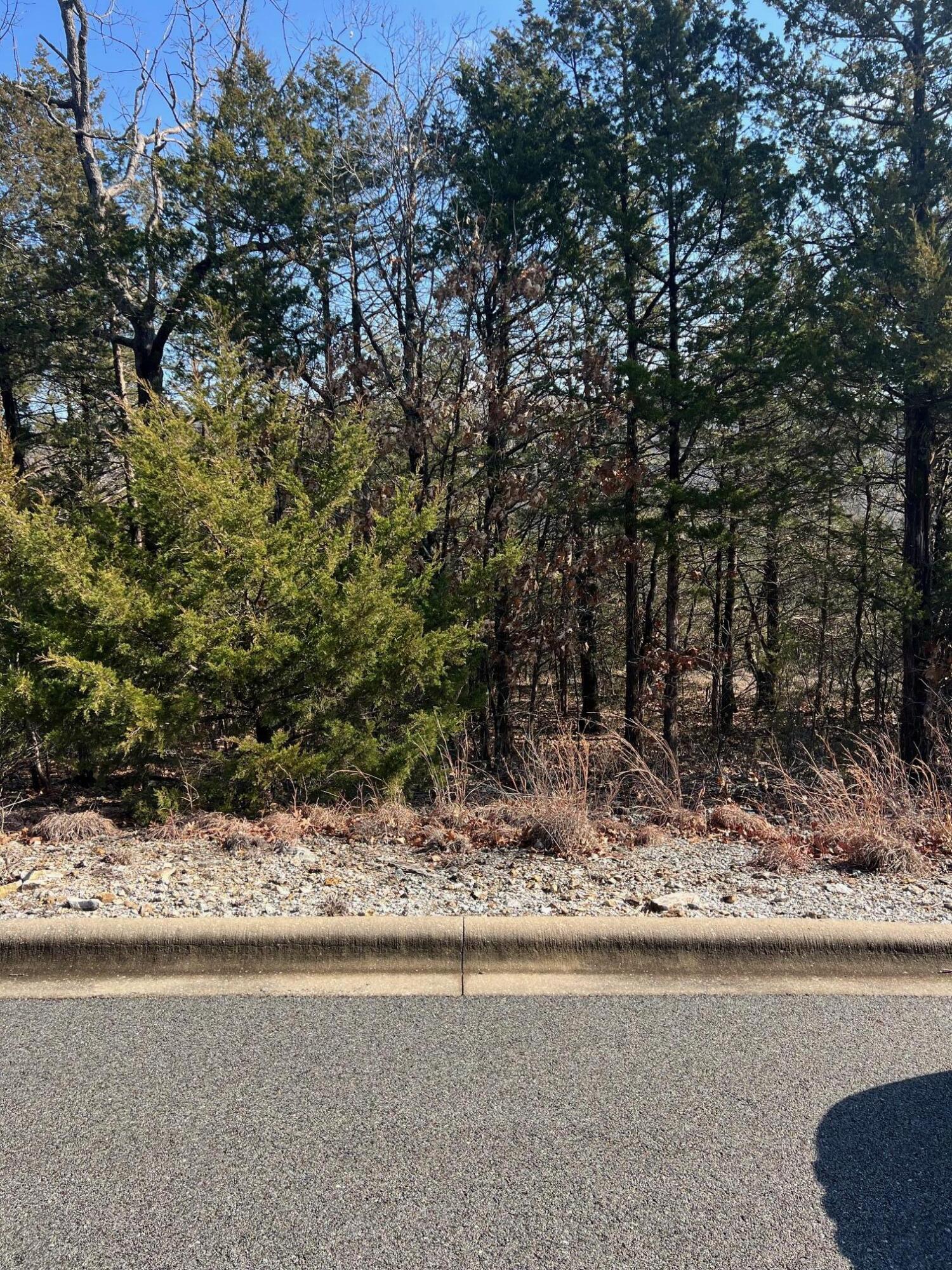 Photo 8 - Land for sale – Tbd E Sharay Circle  Hollister, MO