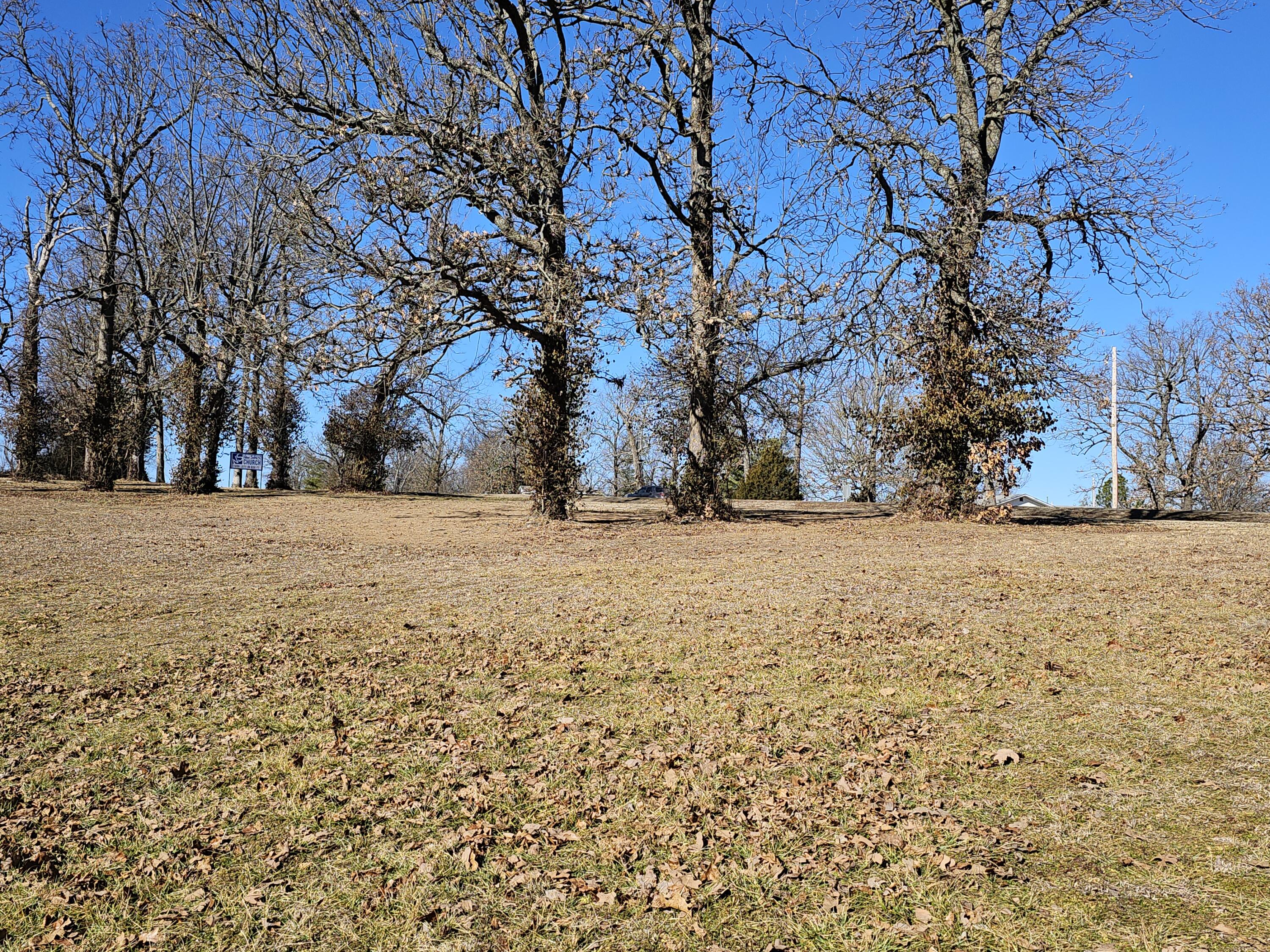 Photo 10 - Land for sale – 000  Redbud Place   Monett, MO