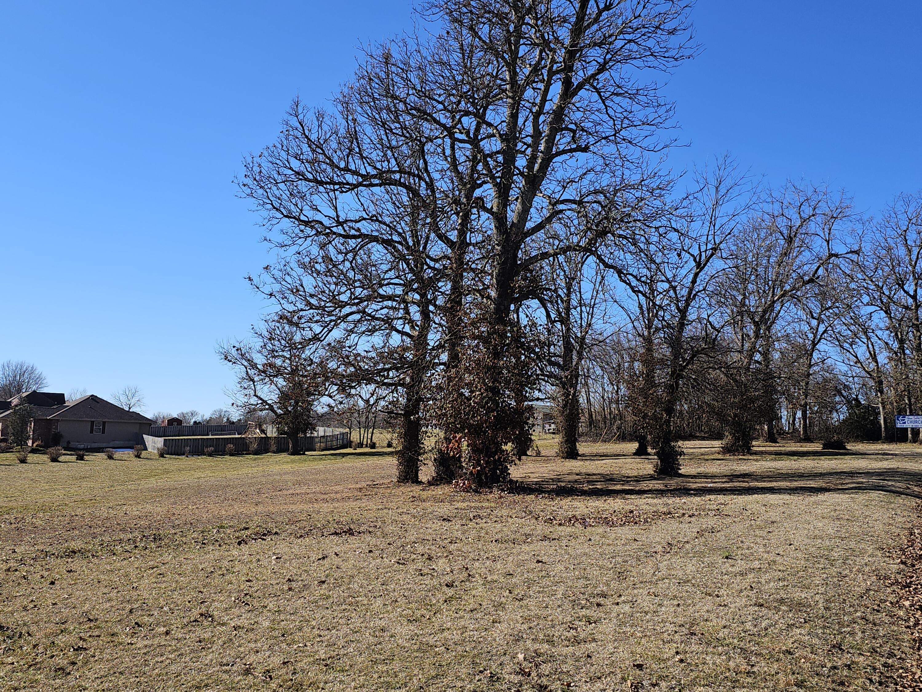 Photo 6 - Land for sale – 000  Redbud Place   Monett, MO