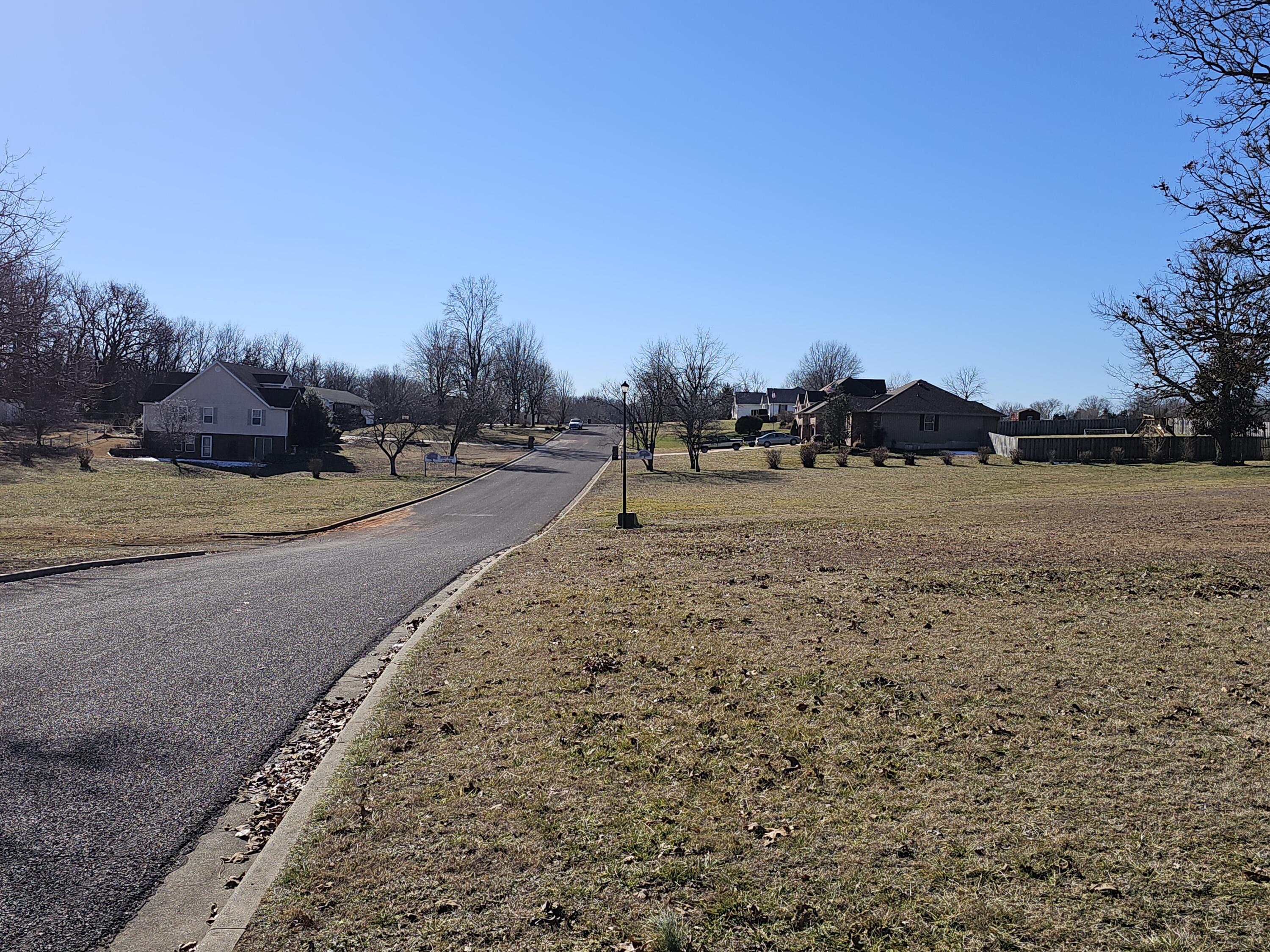Photo 7 - Land for sale – 000  Redbud Place   Monett, MO
