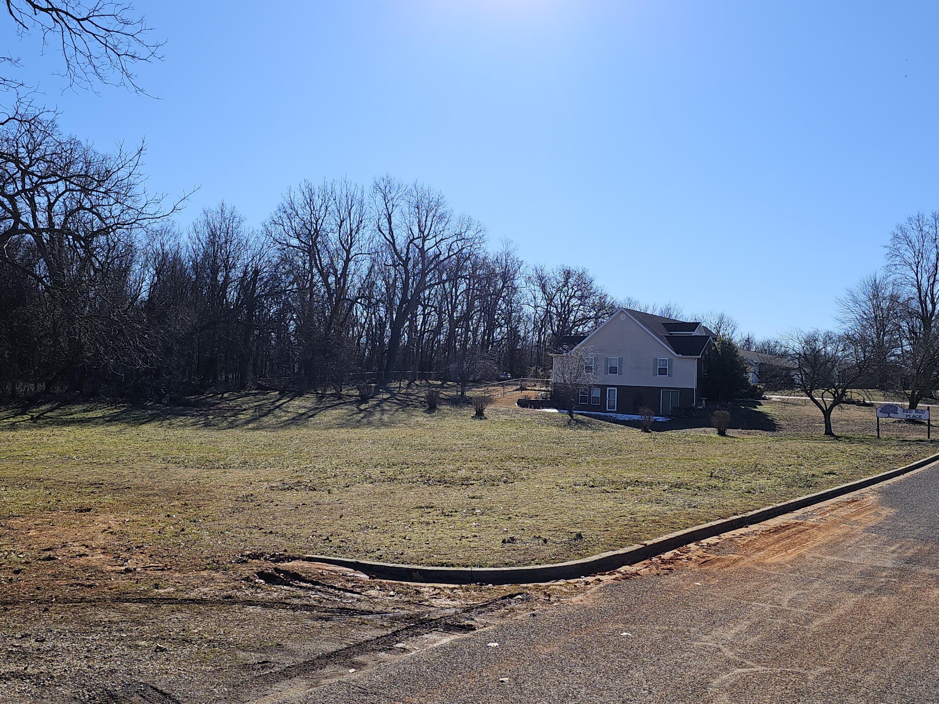 Photo 12 - Land for sale – 000  Redbud Place   Monett, MO
