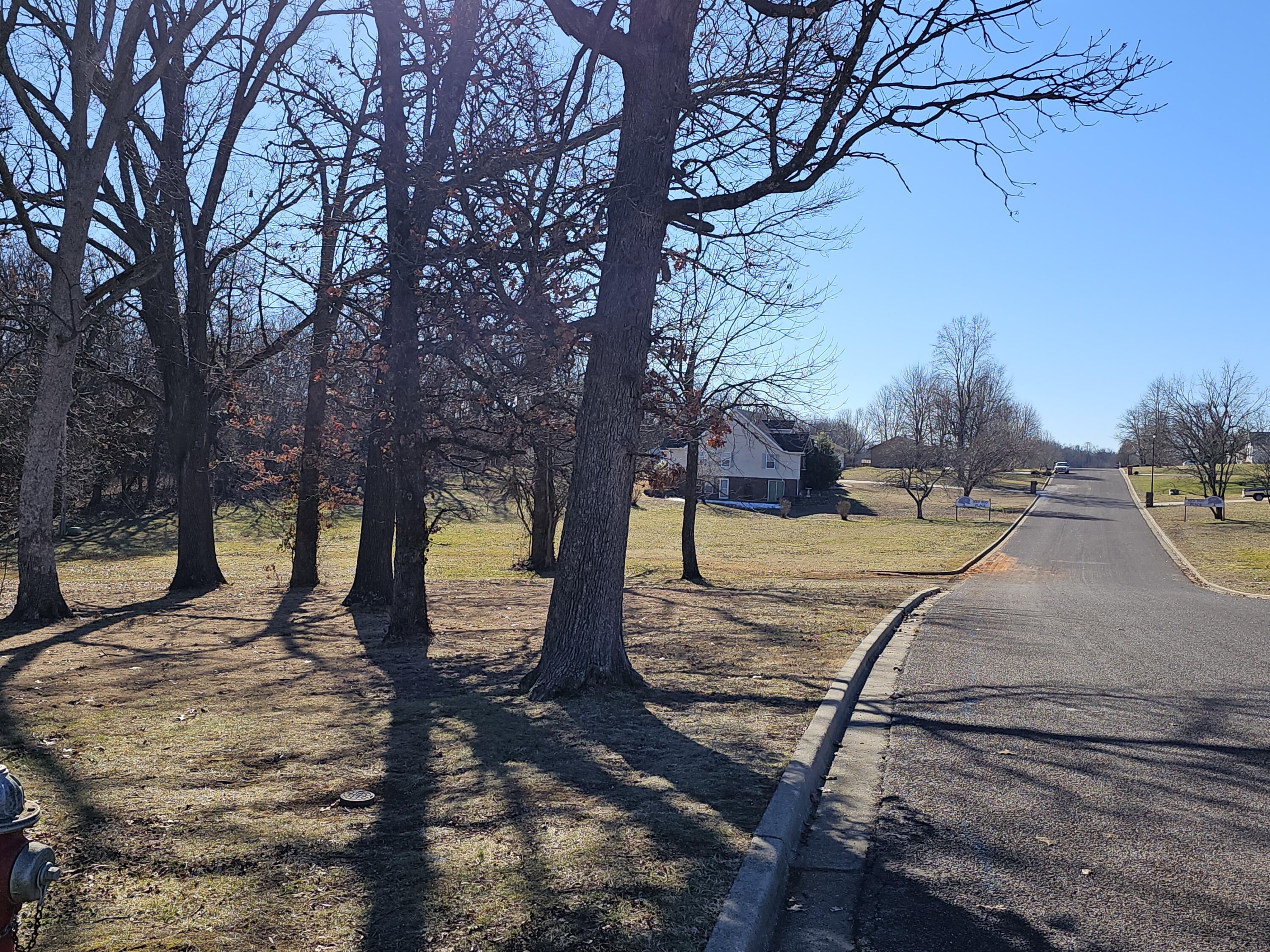 Photo 4 - Land for sale – 000  Redbud Place   Monett, MO