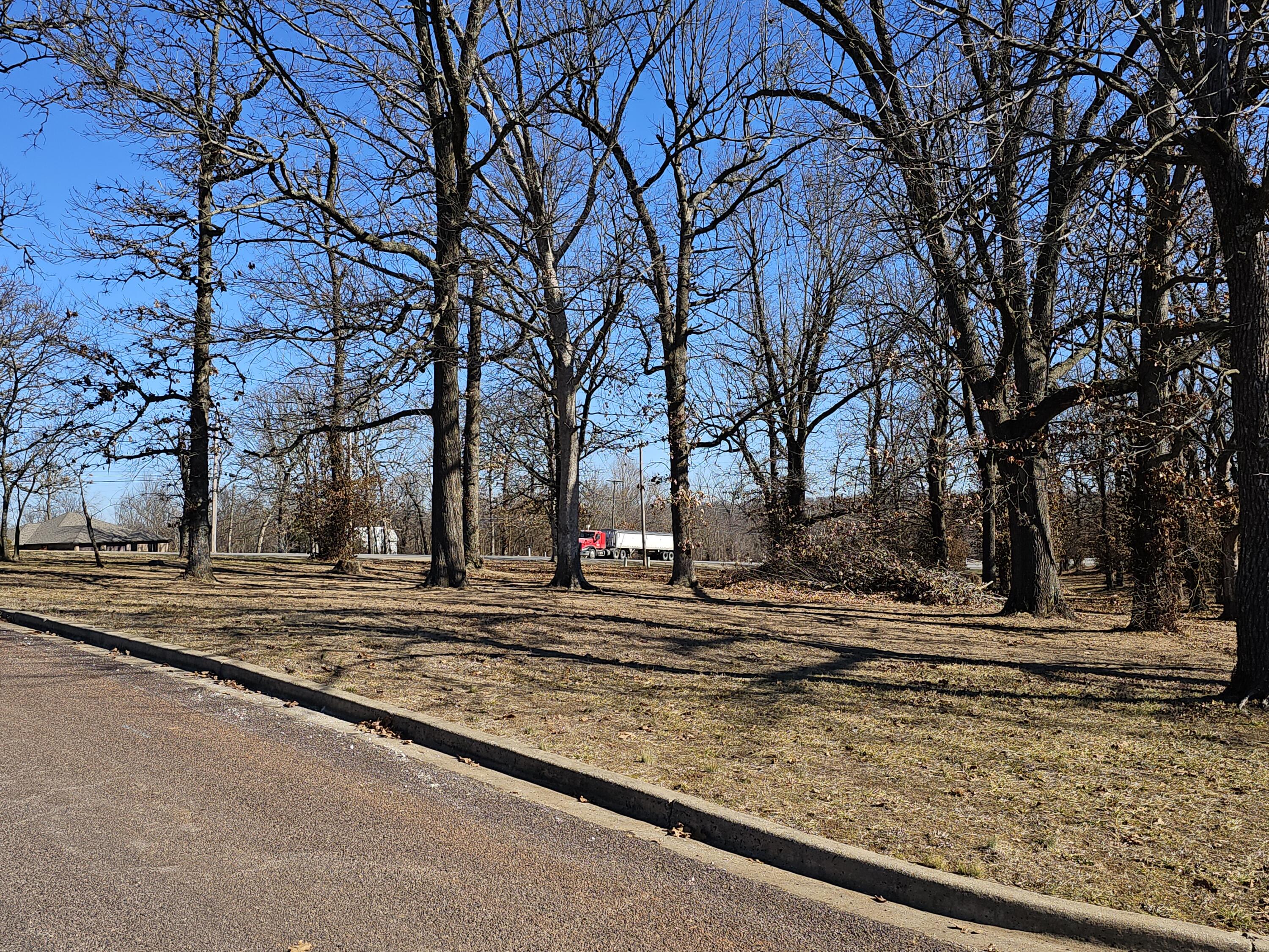 Photo 11 - Land for sale – 000  Redbud Place   Monett, MO
