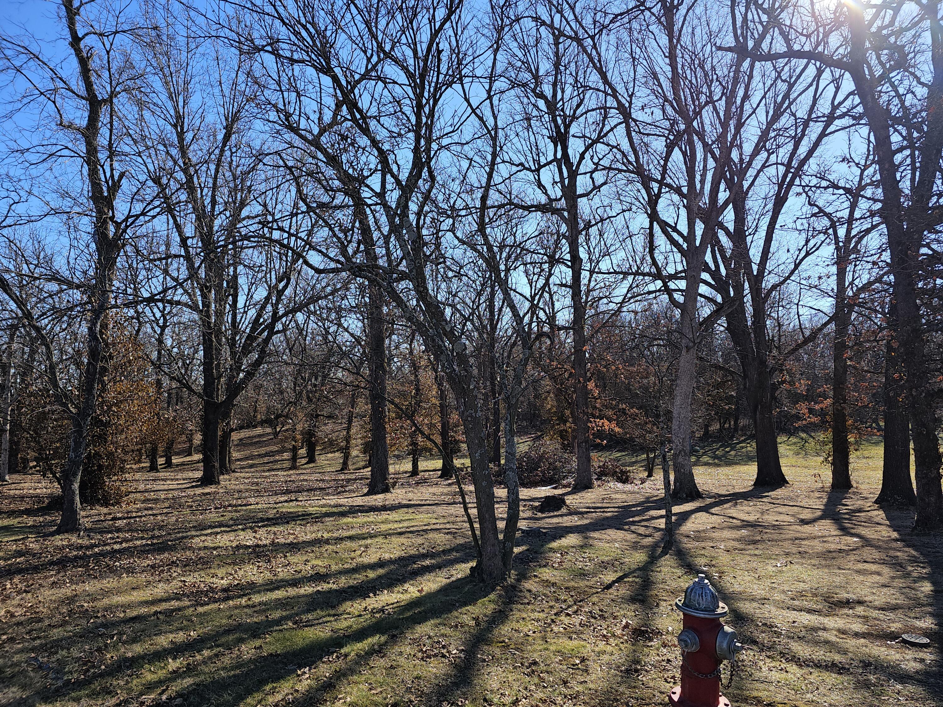 Land for sale – 000  Redbud Place   Monett, MO