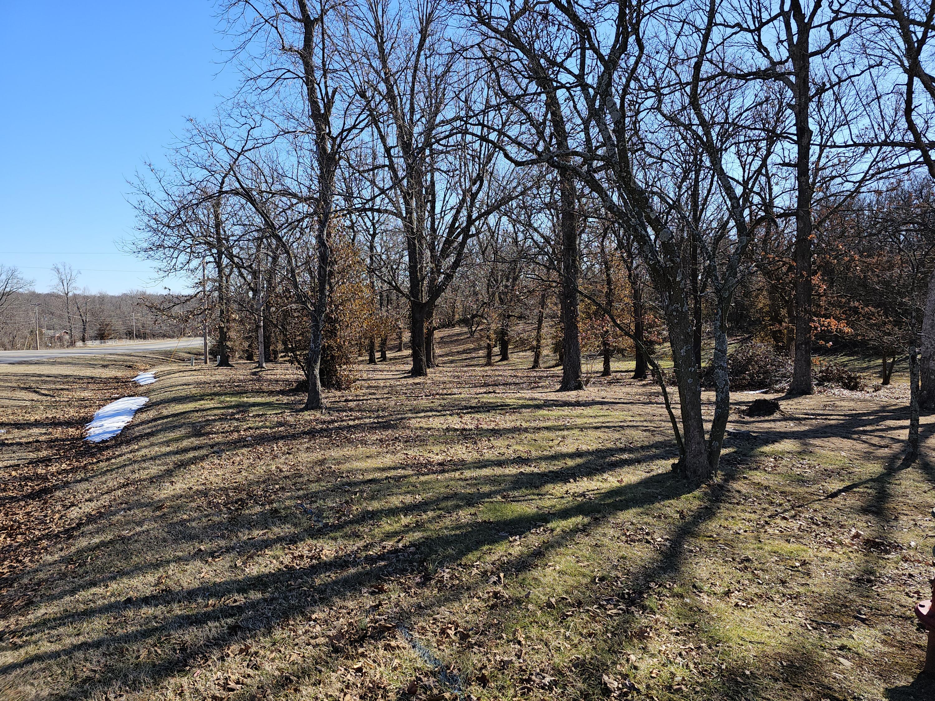 Photo 3 - Land for sale – 000  Redbud Place   Monett, MO