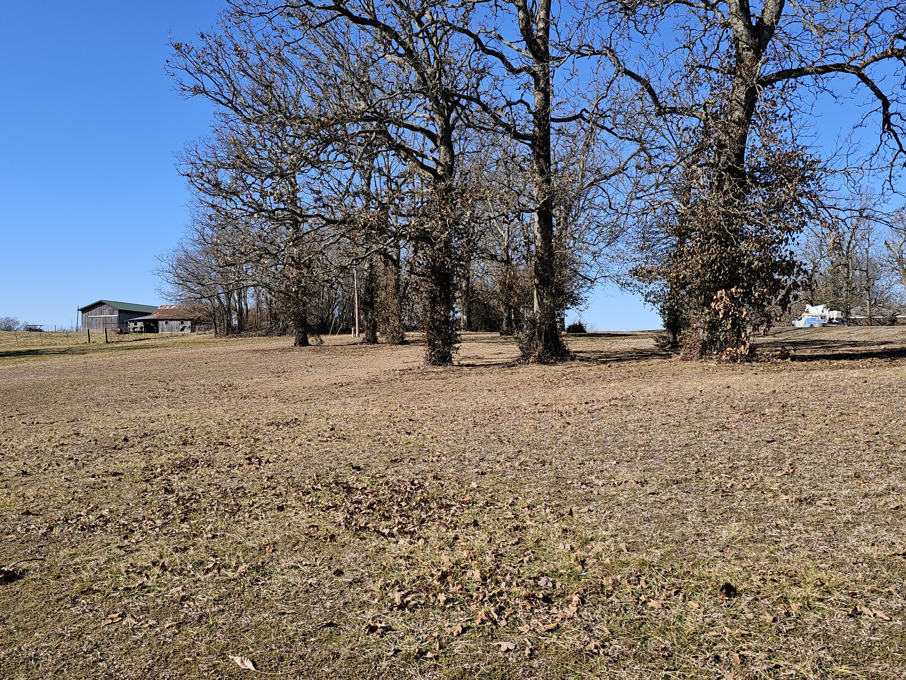 Photo 8 - Land for sale – 000  Redbud Place   Monett, MO