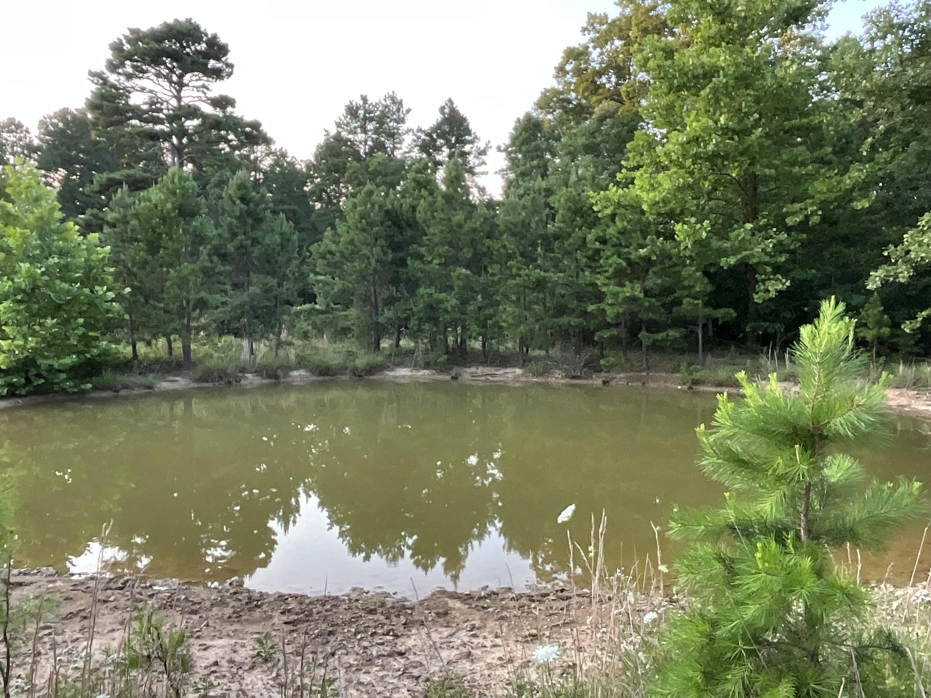 Photo 66 - Residential for sale – 19056  County Road 427   Summersville, MO