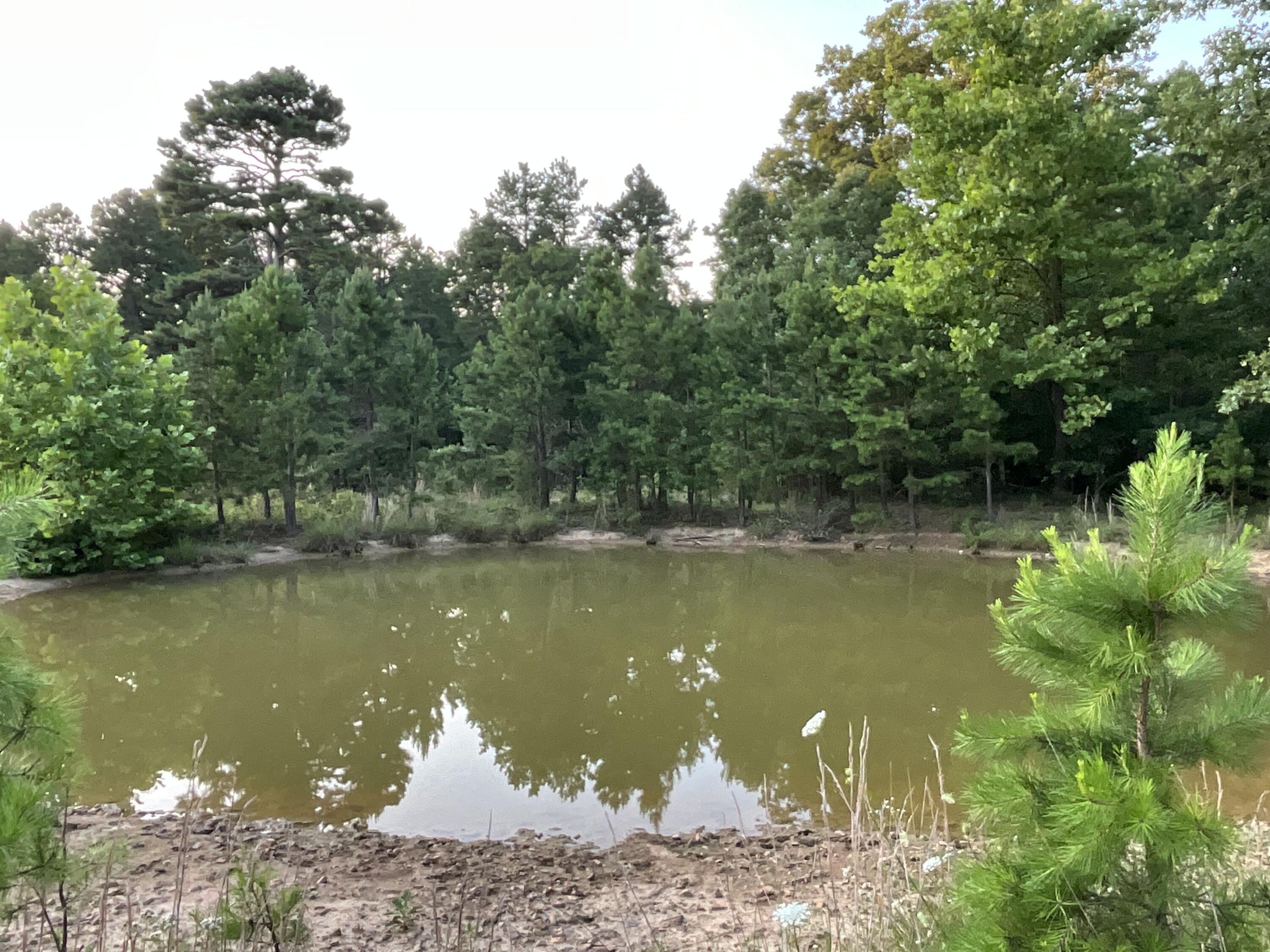 Photo 79 - Residential for sale – 19056  County Road 427   Summersville, MO