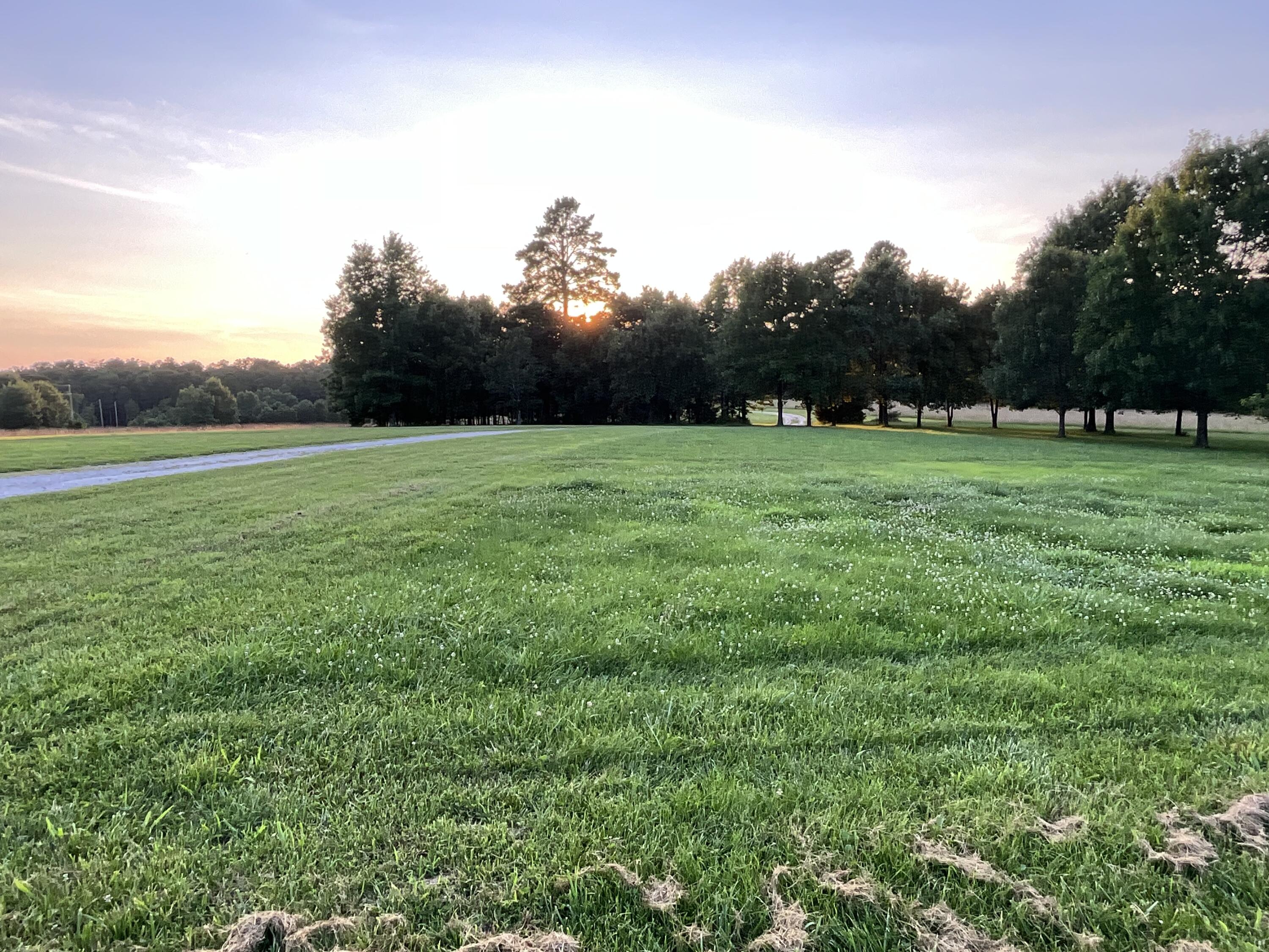 Photo 10 - Residential for sale – 19056  County Road 427   Summersville, MO