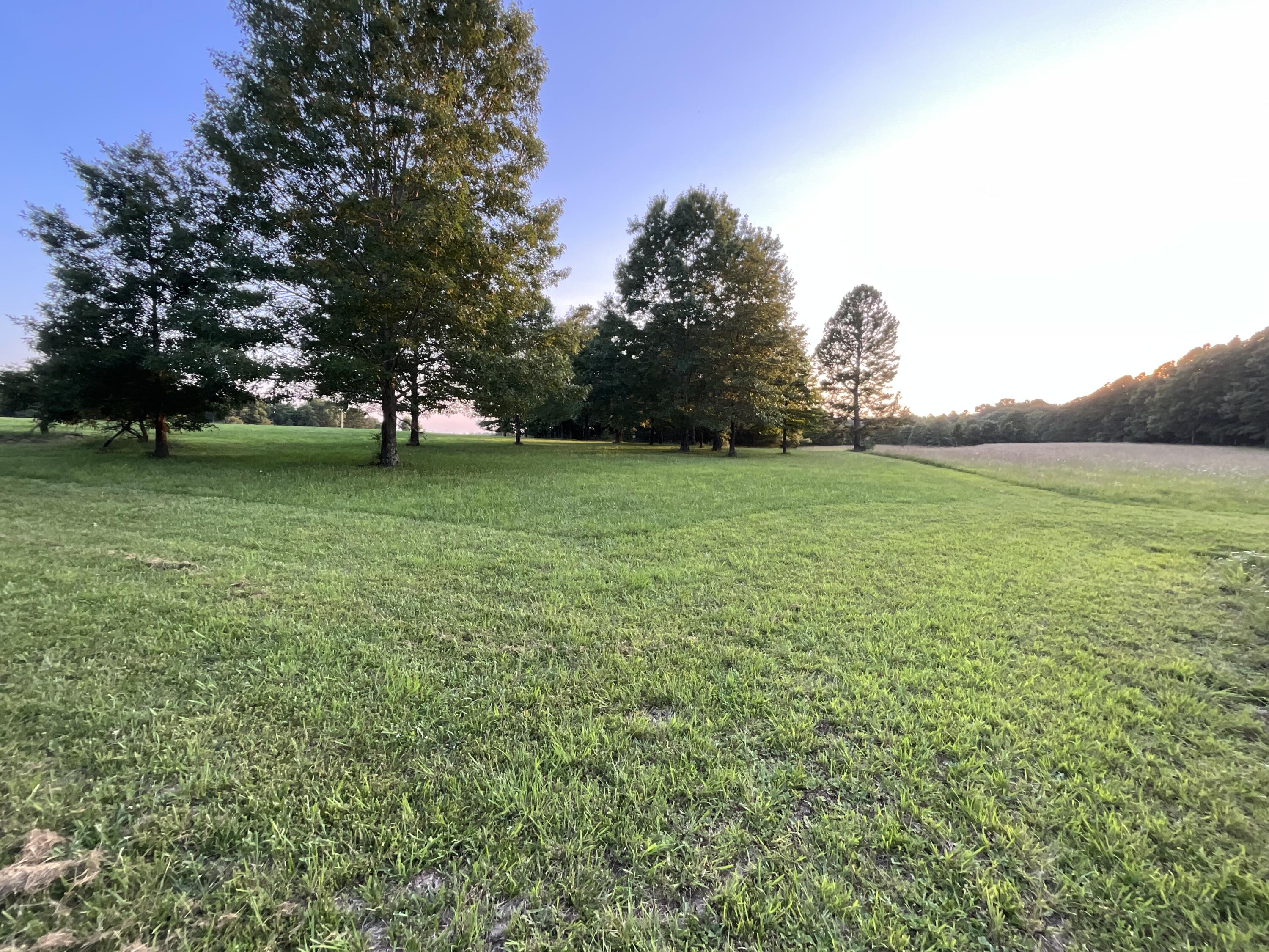 Photo 65 - Residential for sale – 19056  County Road 427   Summersville, MO