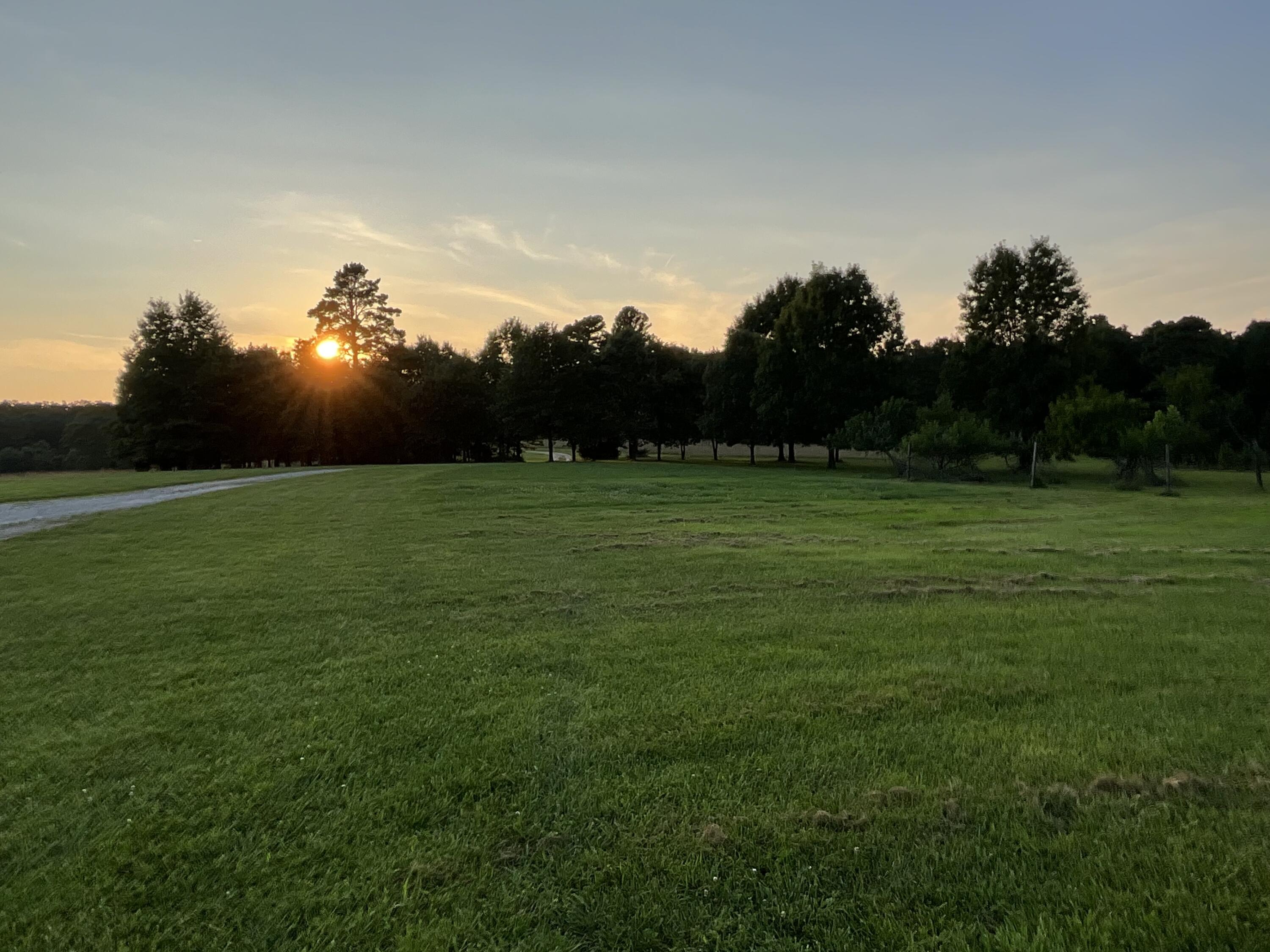 Photo 85 - Residential for sale – 19056  County Road 427   Summersville, MO