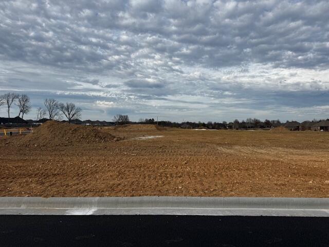 Photo 3 - Land for sale – Lot 45  The Village Of Cloverhill   Nixa, MO