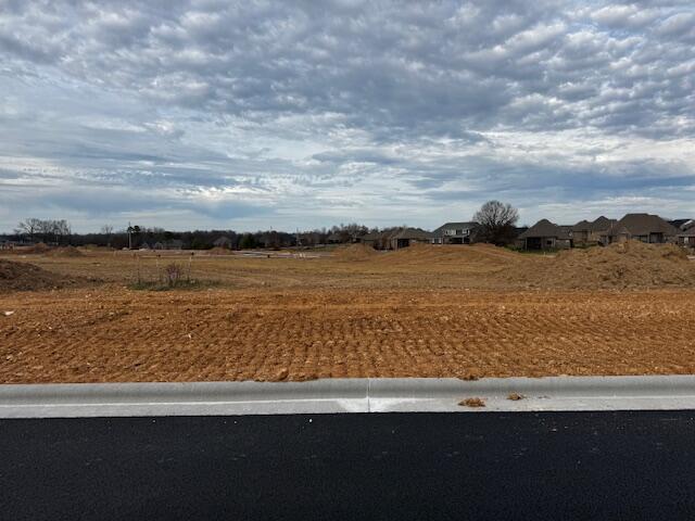 Photo 5 - Land for sale – Lot 45  The Village Of Cloverhill   Nixa, MO