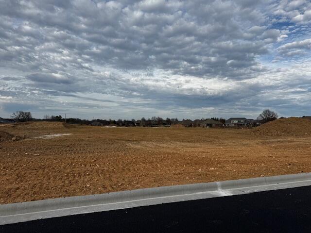 Photo 4 - Land for sale – Lot 45  The Village Of Cloverhill   Nixa, MO