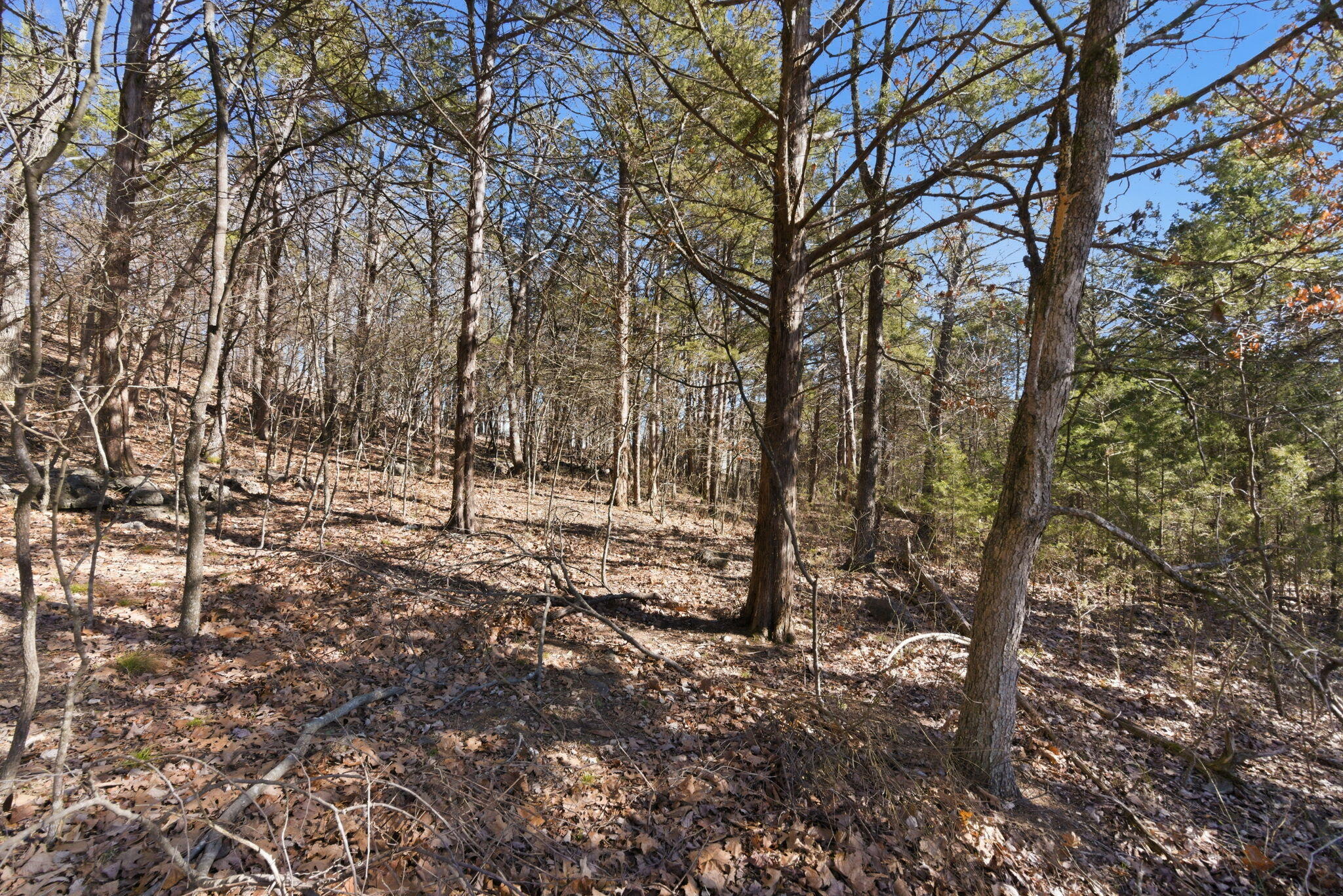 Photo 11 - Land for sale – Lot 24  Spring Court  Branson, MO