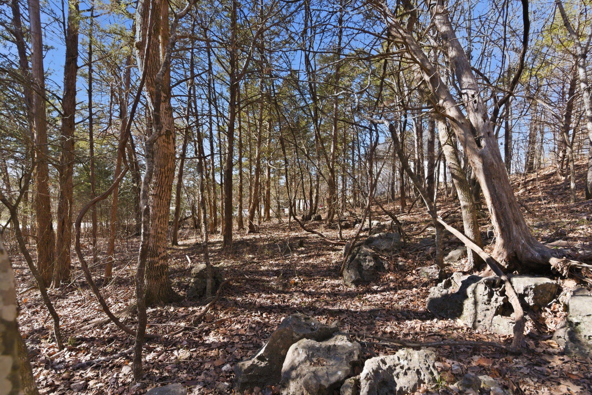 Photo 7 - Land for sale – Lot 24  Spring Court  Branson, MO