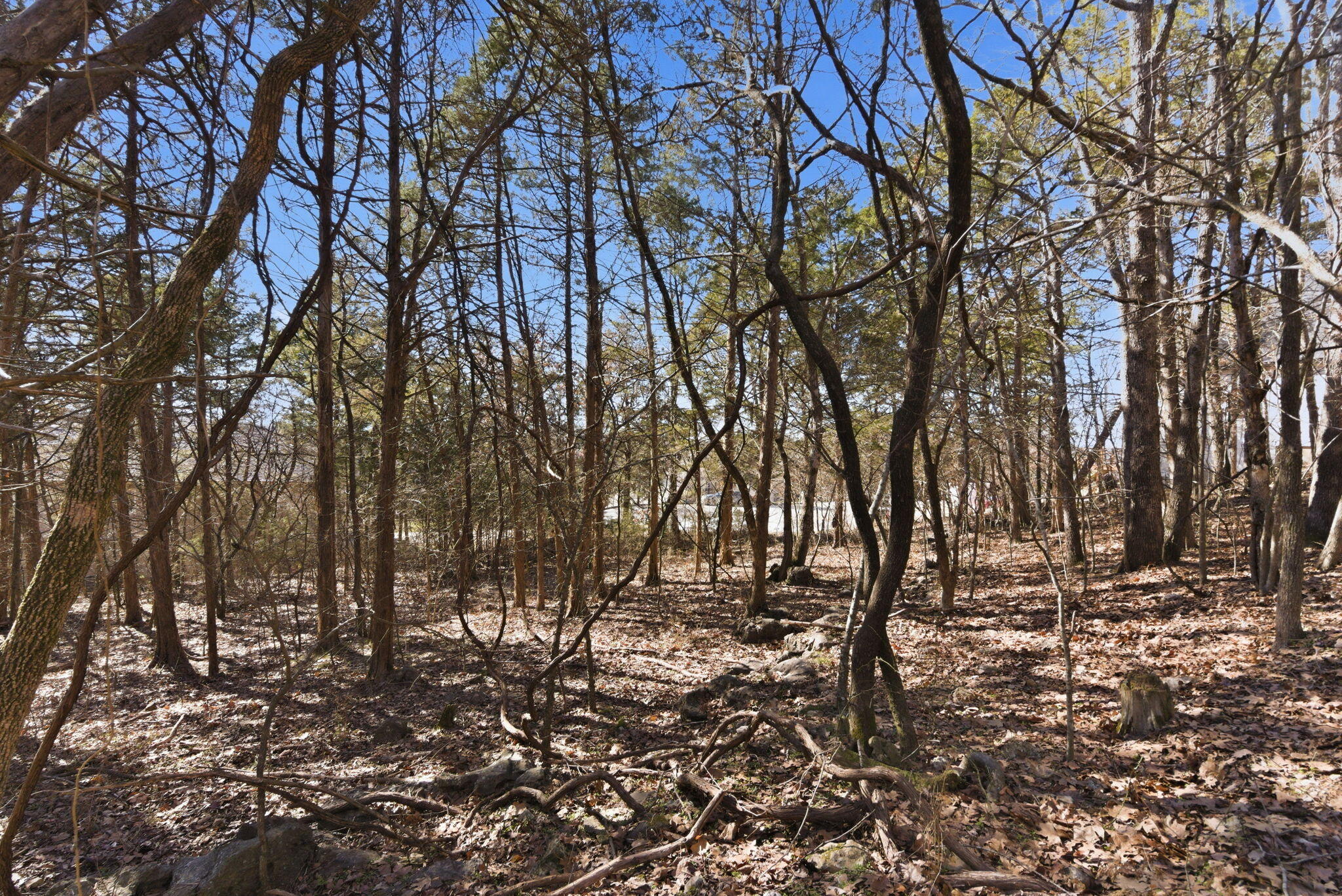 Photo 9 - Land for sale – Lot 24  Spring Court  Branson, MO