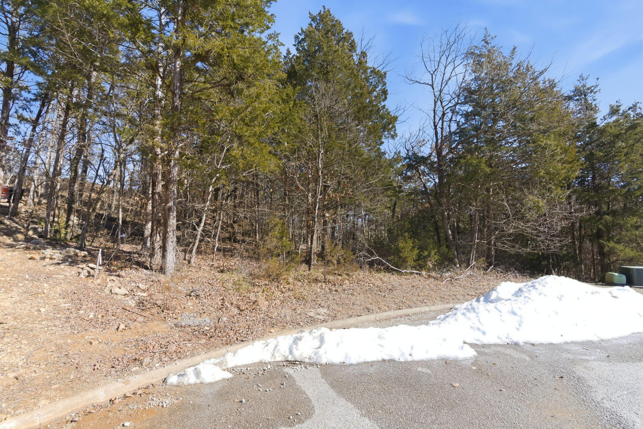 Photo 22 - Land for sale – Lot 24  Spring Court  Branson, MO