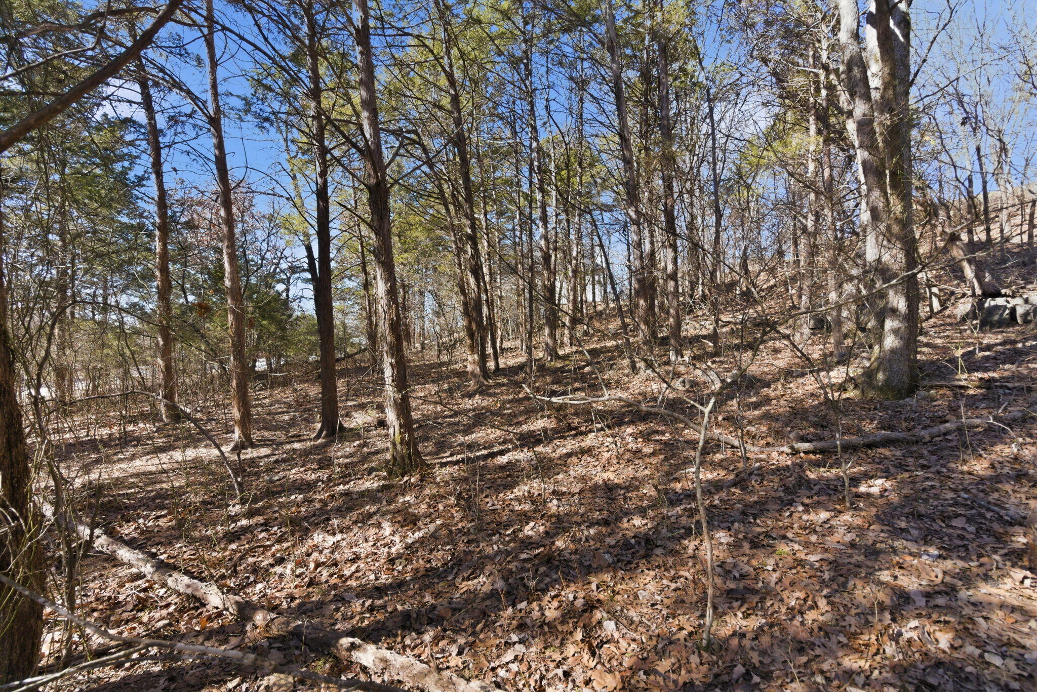 Photo 8 - Land for sale – Lot 24  Spring Court  Branson, MO
