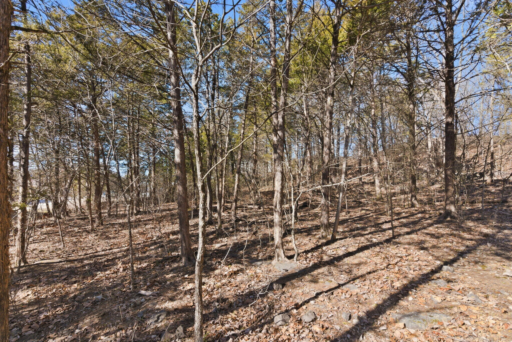 Photo 10 - Land for sale – Lot 24  Spring Court  Branson, MO
