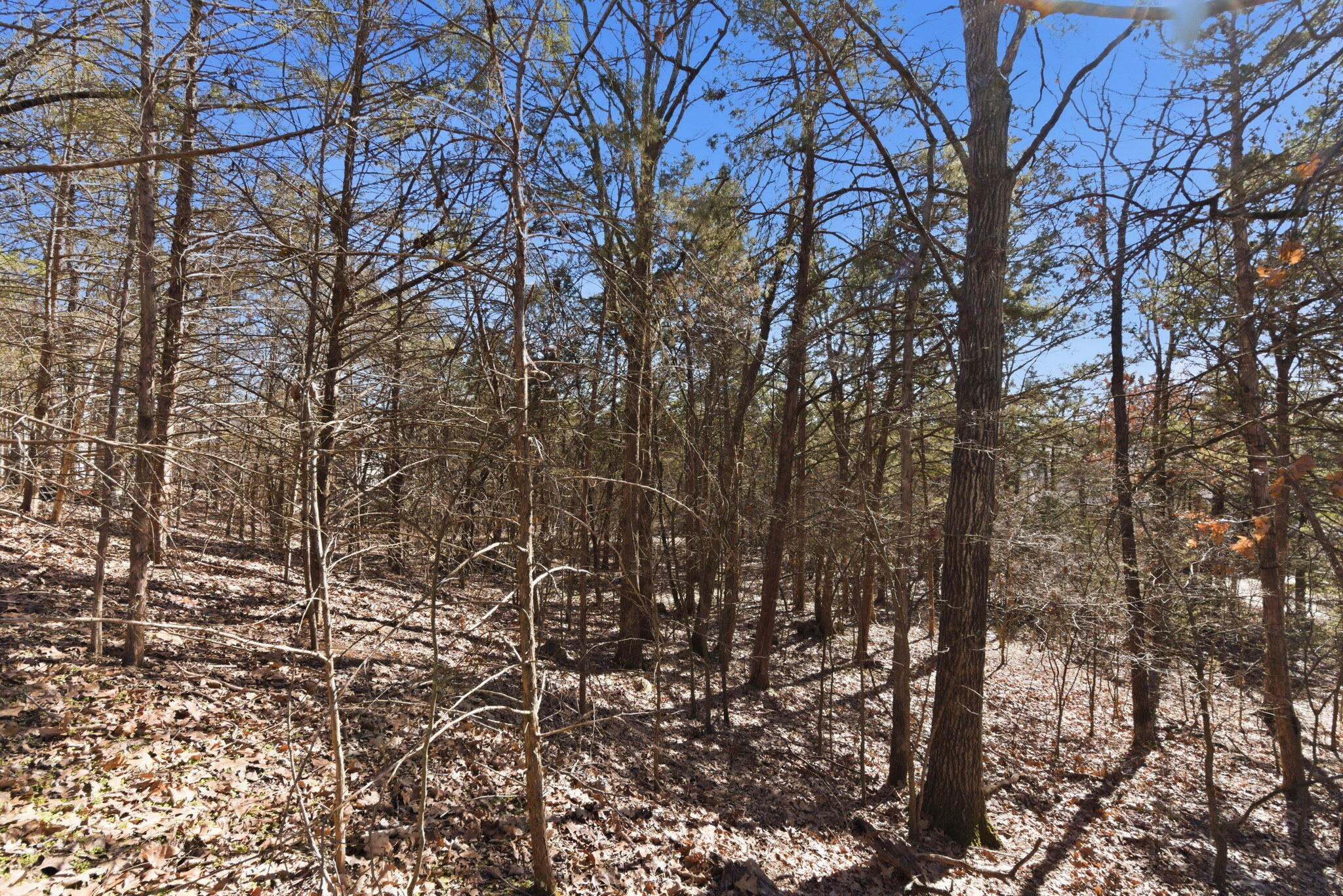 Photo 12 - Land for sale – Lot 24  Spring Court  Branson, MO