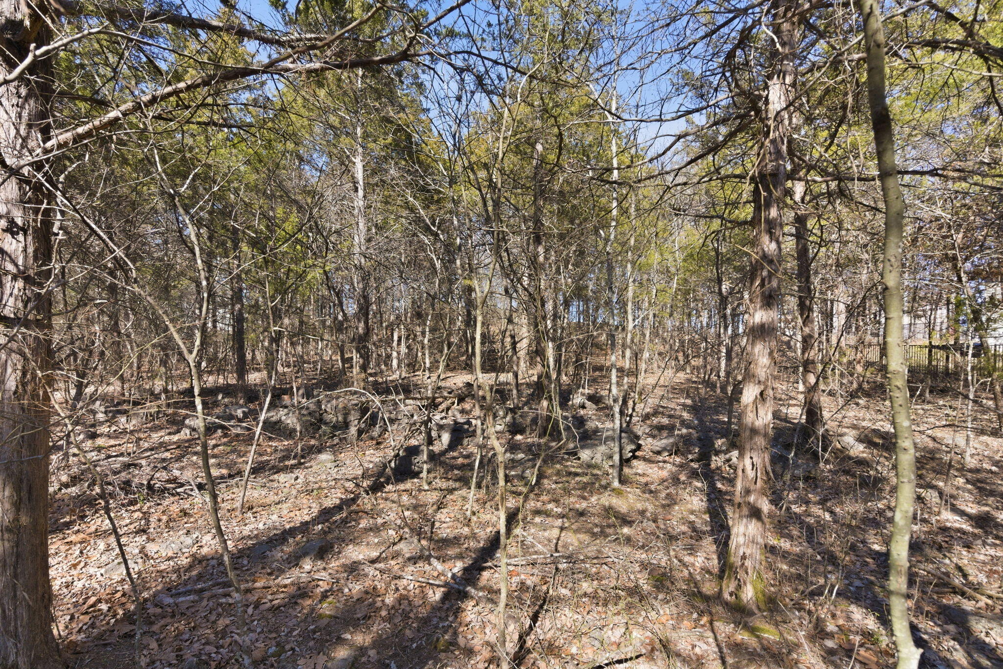 Photo 14 - Land for sale – Lot 24  Spring Court  Branson, MO