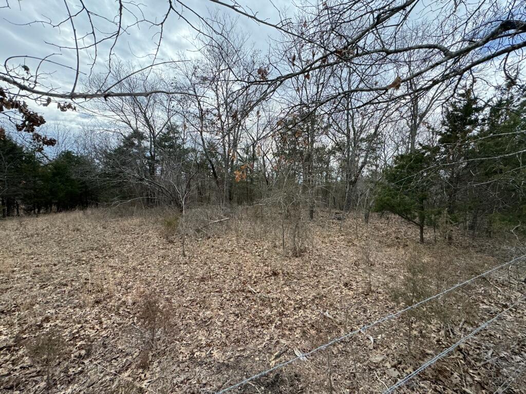 Photo 6 - Land for sale – 85-Ac  Burmingham Road   Forsyth, MO