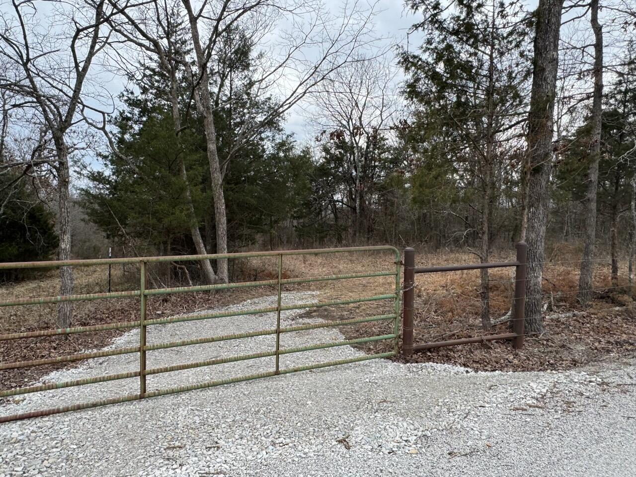 Photo 2 - Land for sale – 85-Ac  Burmingham Road   Forsyth, MO
