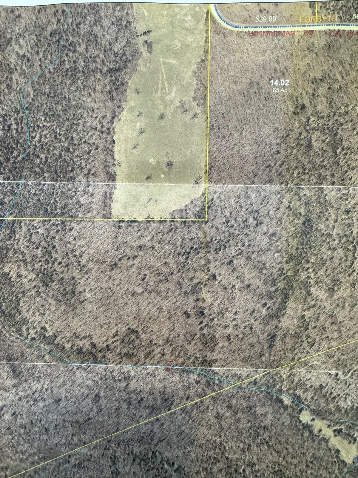 Photo 3 - Land for sale – 85-Ac  Burmingham Road   Forsyth, MO