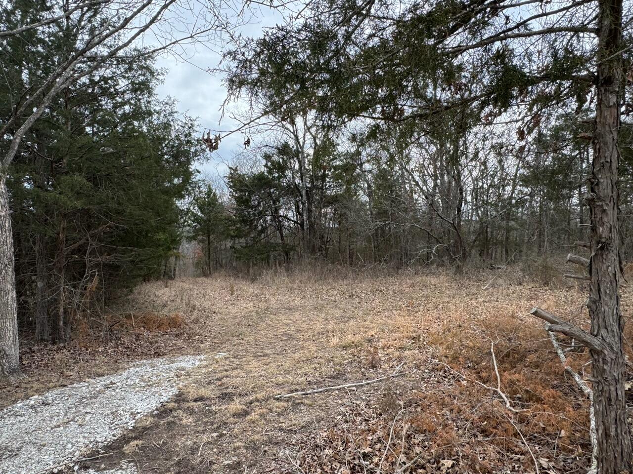 Photo 5 - Land for sale – 85-Ac  Burmingham Road   Forsyth, MO