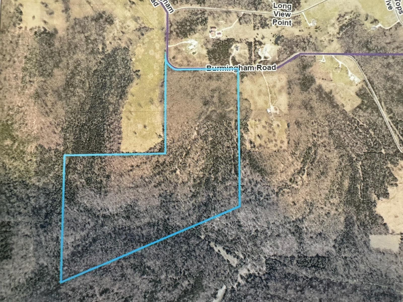 Photo 11 - Land for sale – 85-Ac  Burmingham Road   Forsyth, MO