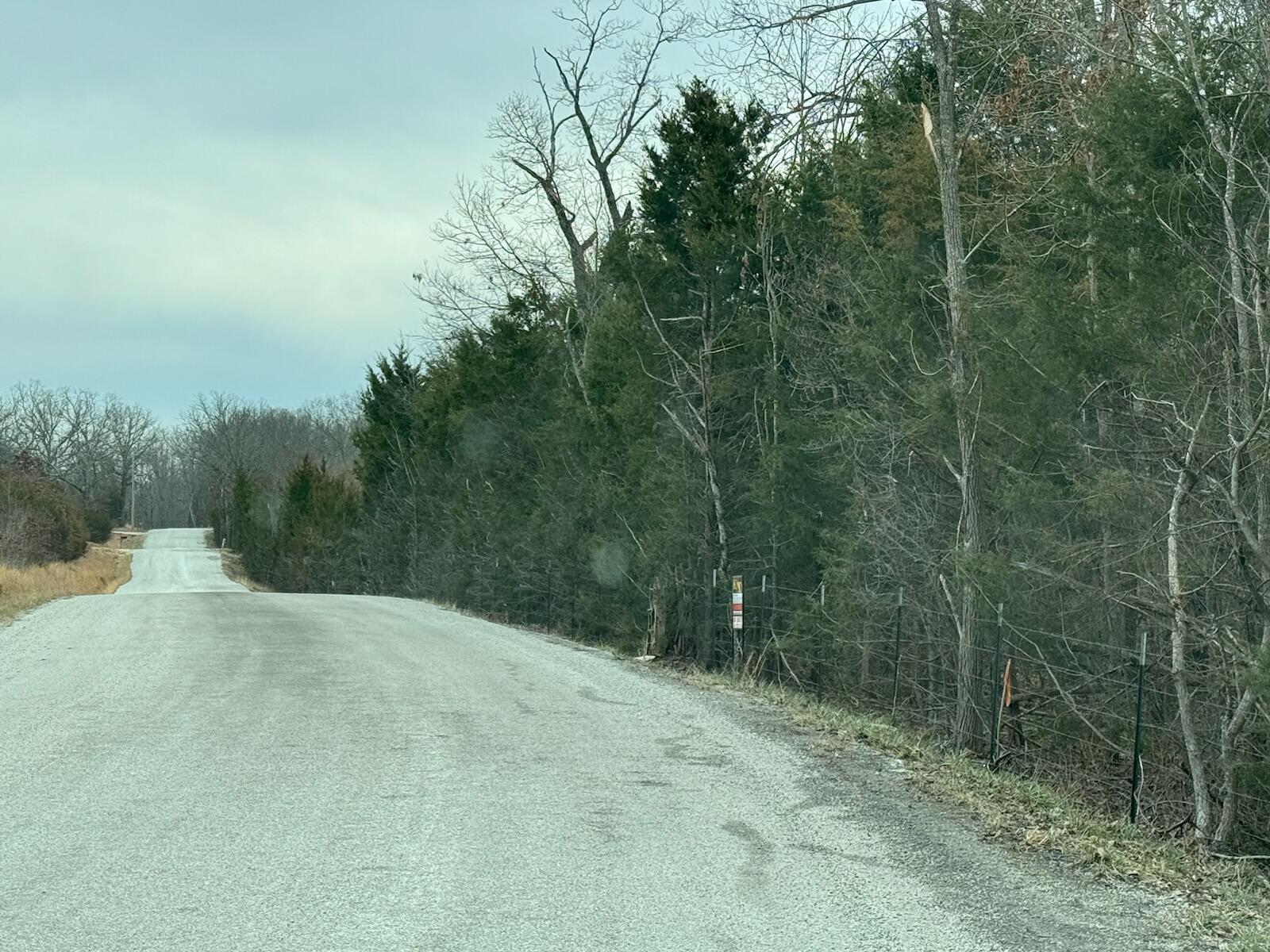 Photo 7 - Land for sale – 85-Ac  Burmingham Road   Forsyth, MO