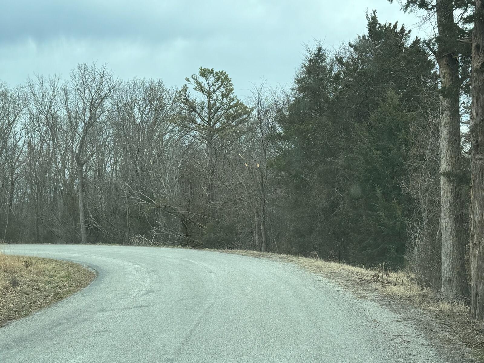 Photo 8 - Land for sale – 85-Ac  Burmingham Road   Forsyth, MO