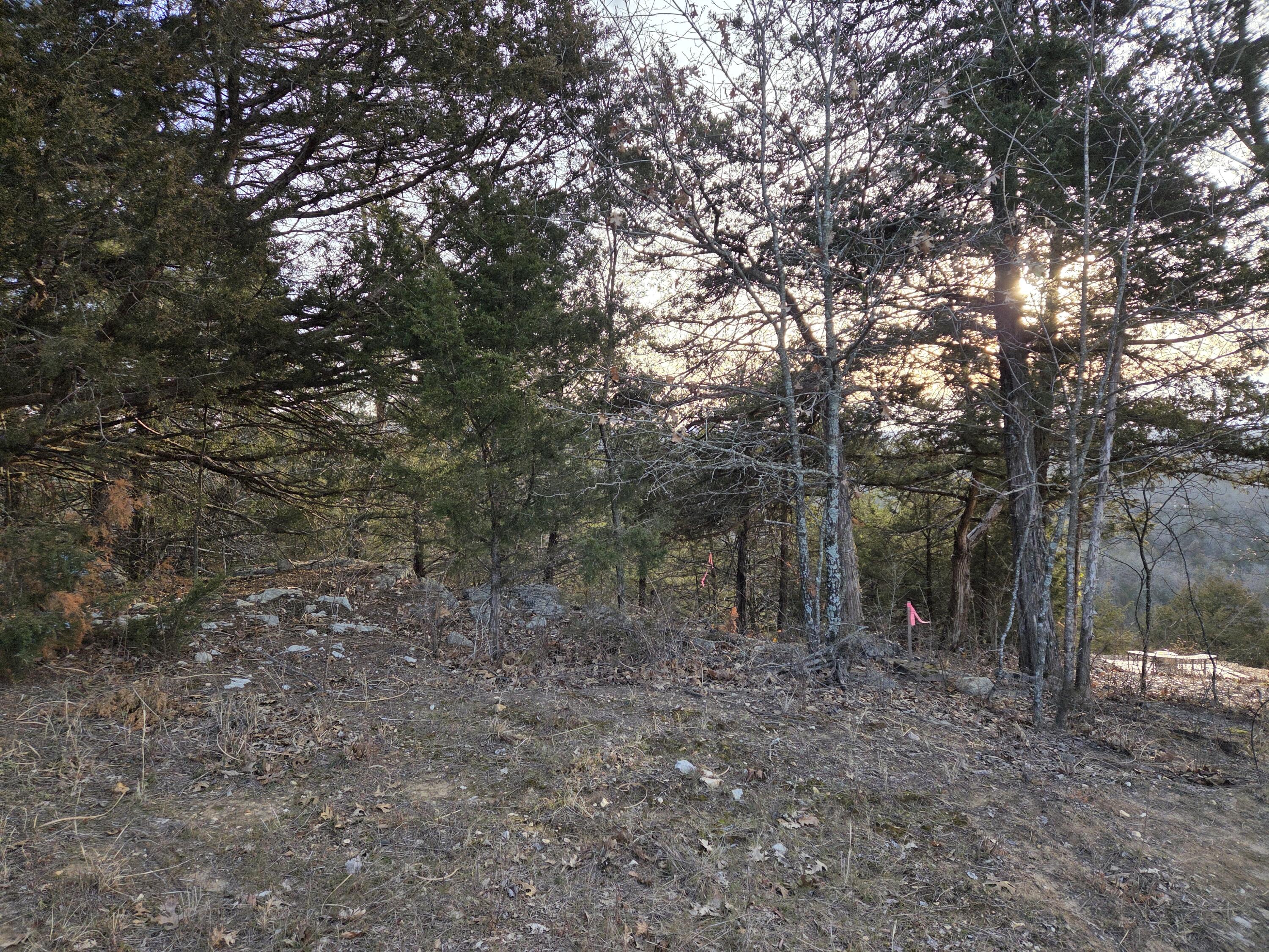 Photo 3 - Land for sale – 116  Black Forest Lane   Branson West, MO