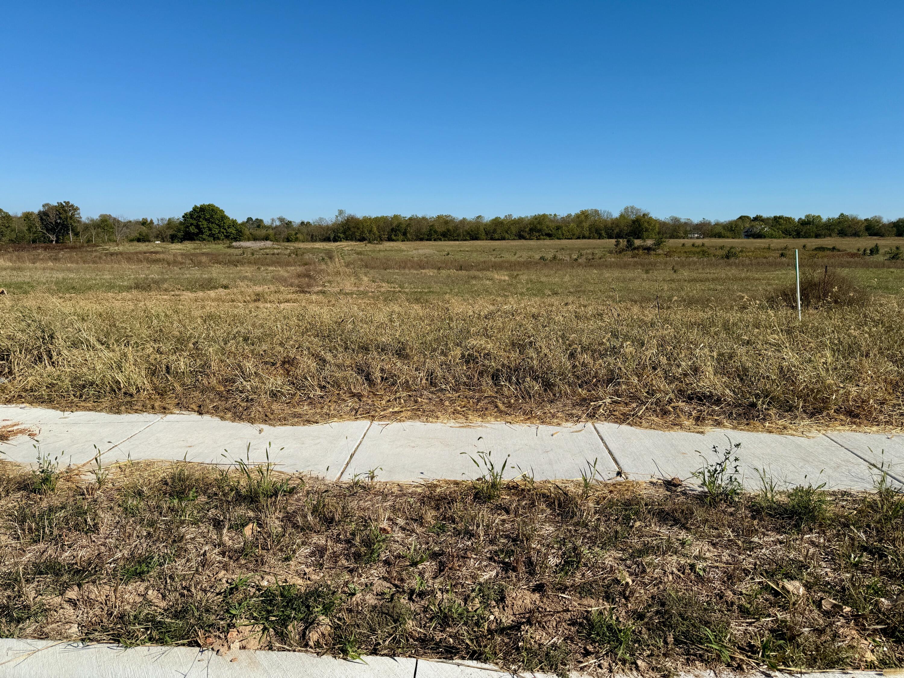 Land for sale – 1012 S Antietam Road Republic, MO