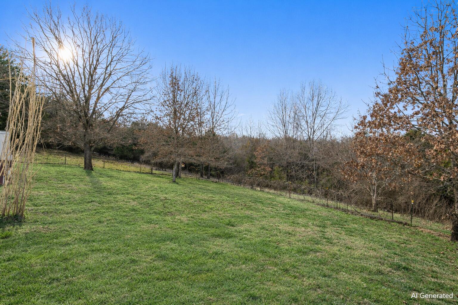 Photo 5 - Residential for sale – 79  Mulberry Drive  Galena, MO