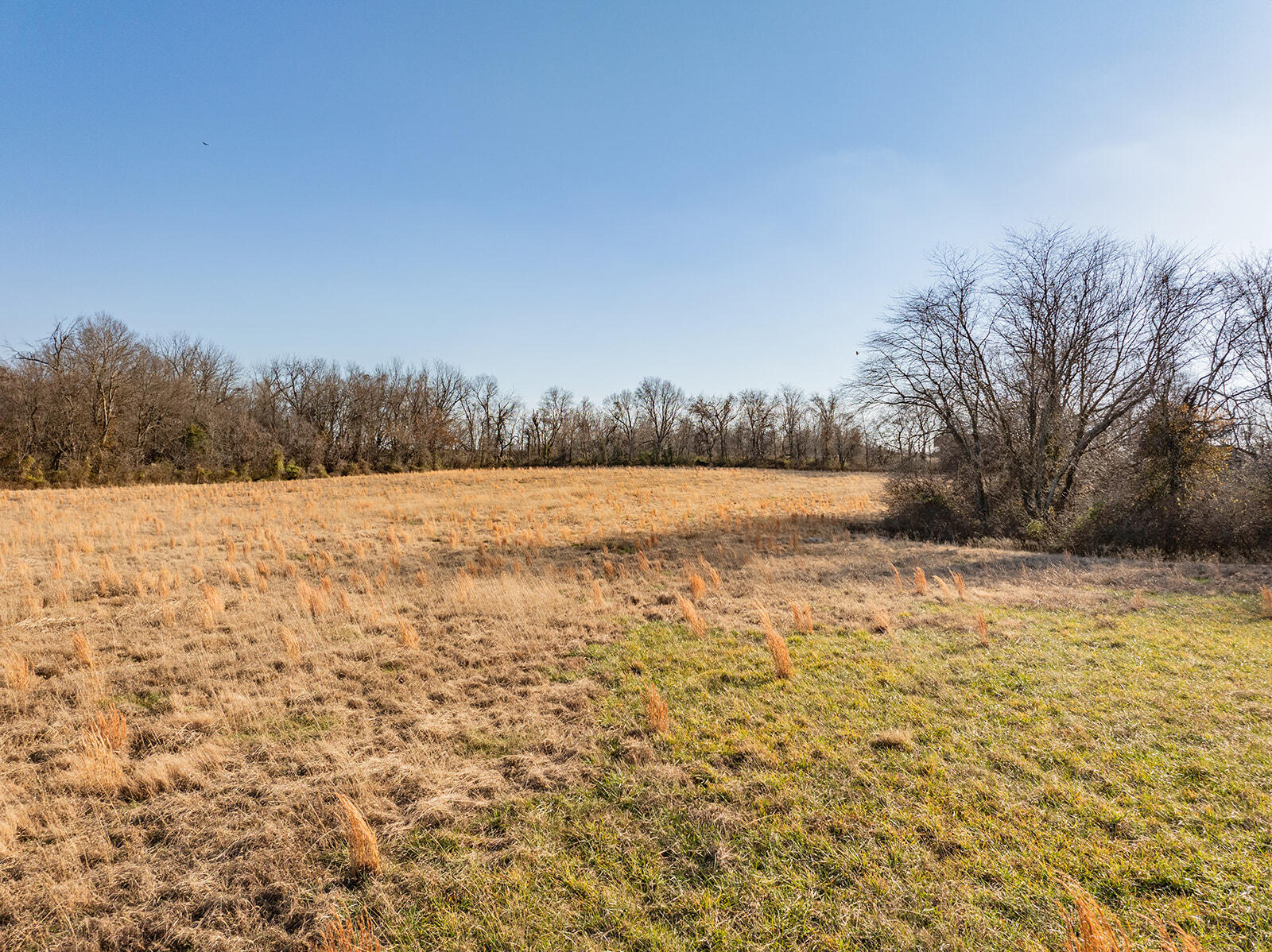 Photo 15 - Land for sale – 000  Farm Road 148   Springfield, MO
