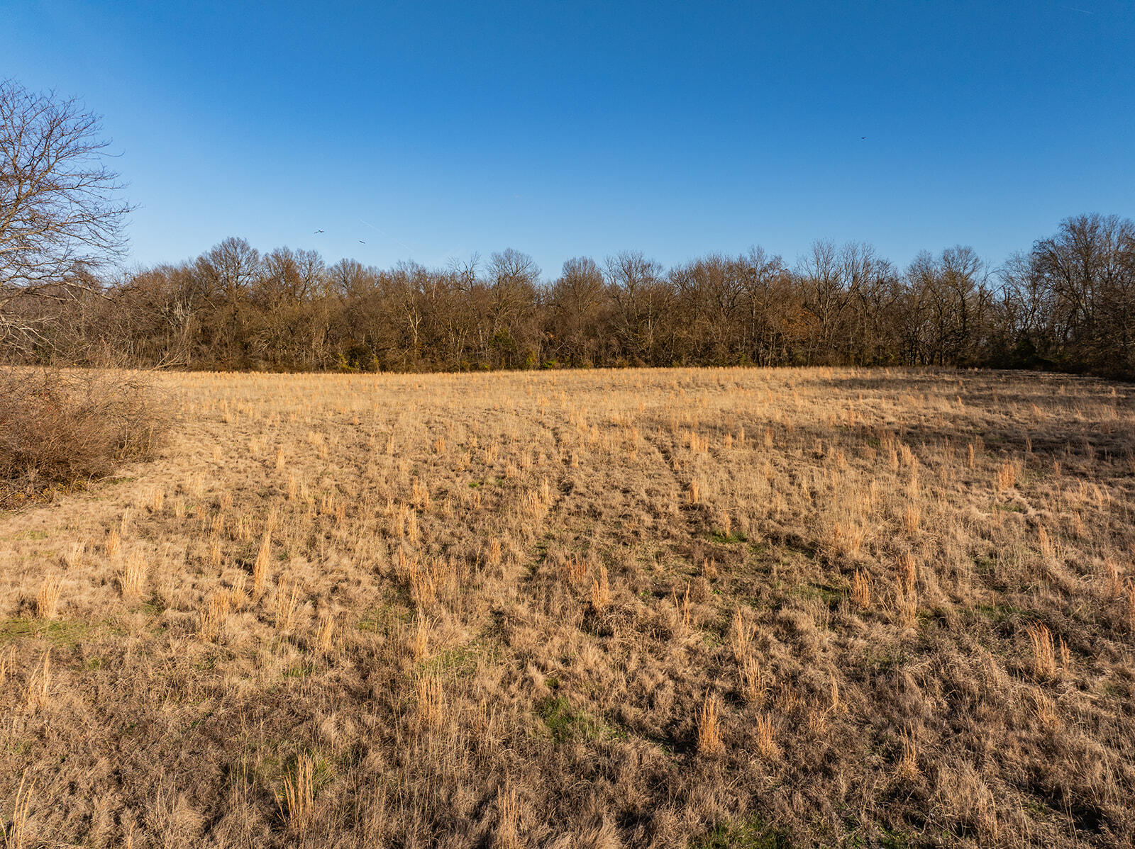 Photo 20 - Land for sale – 000  Farm Road 148   Springfield, MO