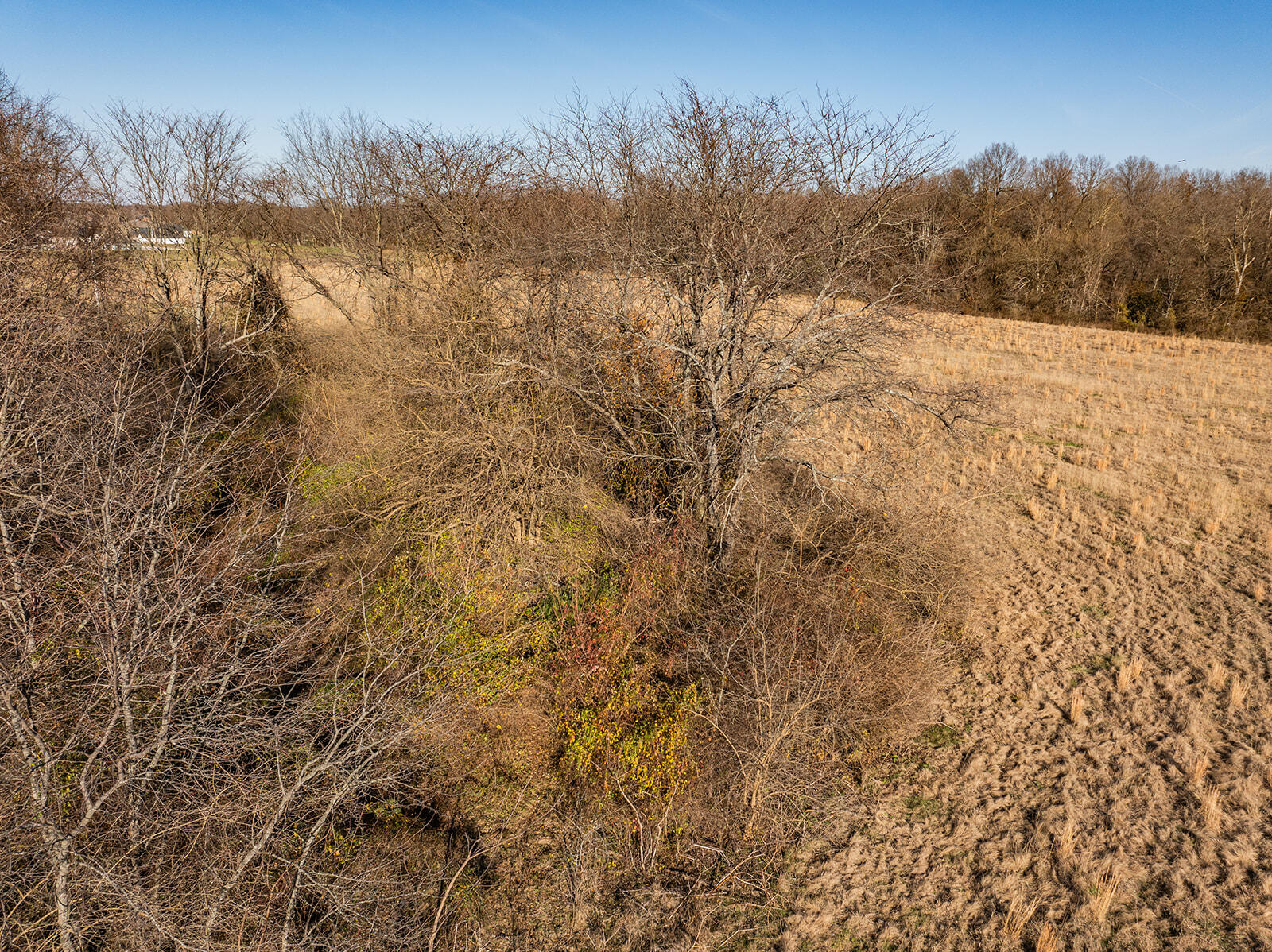 Photo 19 - Land for sale – 000  Farm Road 148   Springfield, MO