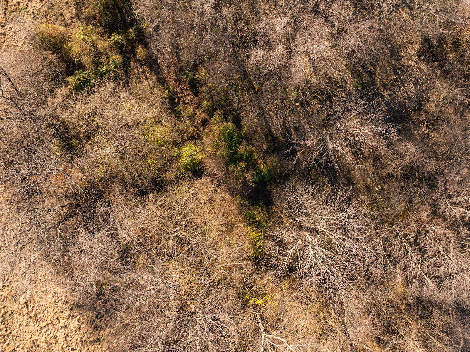Photo 9 - Land for sale – 000  Farm Road 148   Springfield, MO