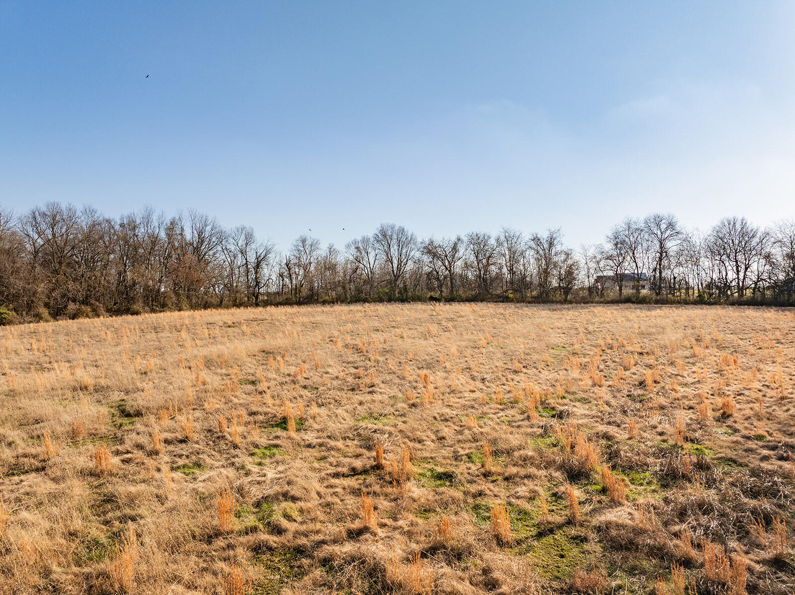 Photo 16 - Land for sale – 000  Farm Road 148   Springfield, MO