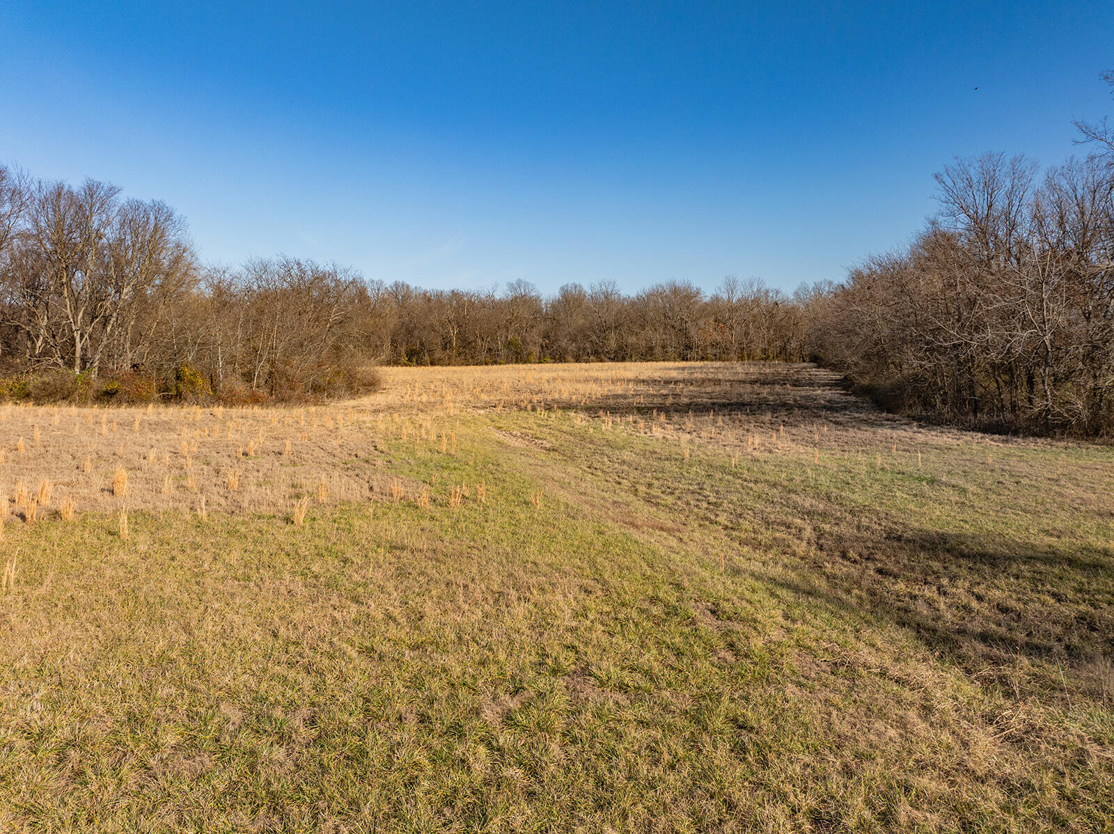 Photo 10 - Land for sale – 000  Farm Road 148   Springfield, MO