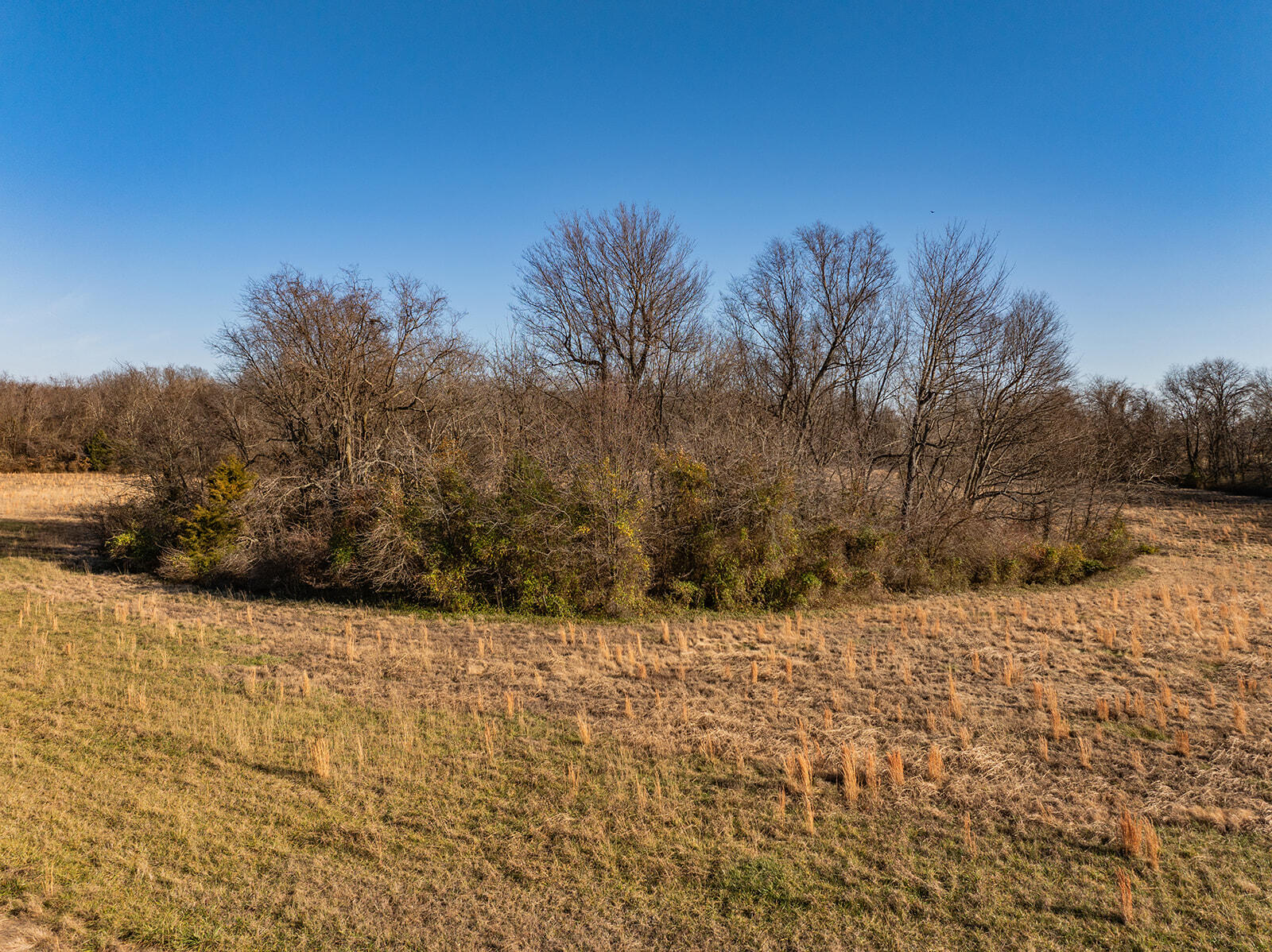 Photo 12 - Land for sale – 000  Farm Road 148   Springfield, MO
