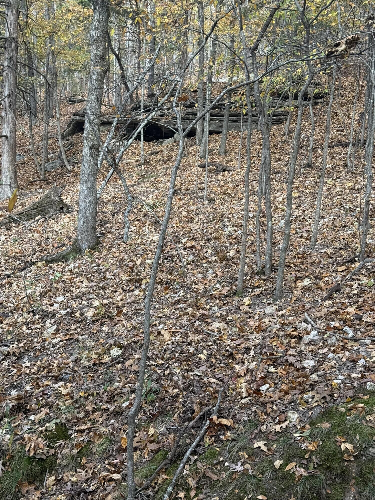 Photo 15 - Land for sale – 000  Skyview Drive  Branson, MO