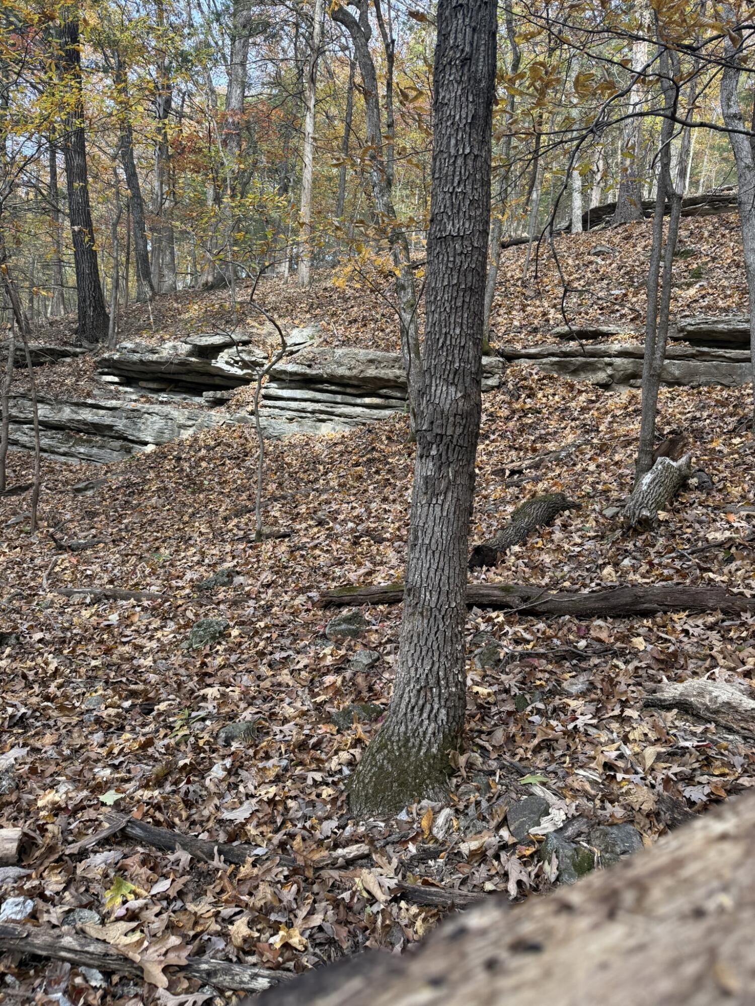 Photo 6 - Land for sale – 000  Skyview Drive  Branson, MO